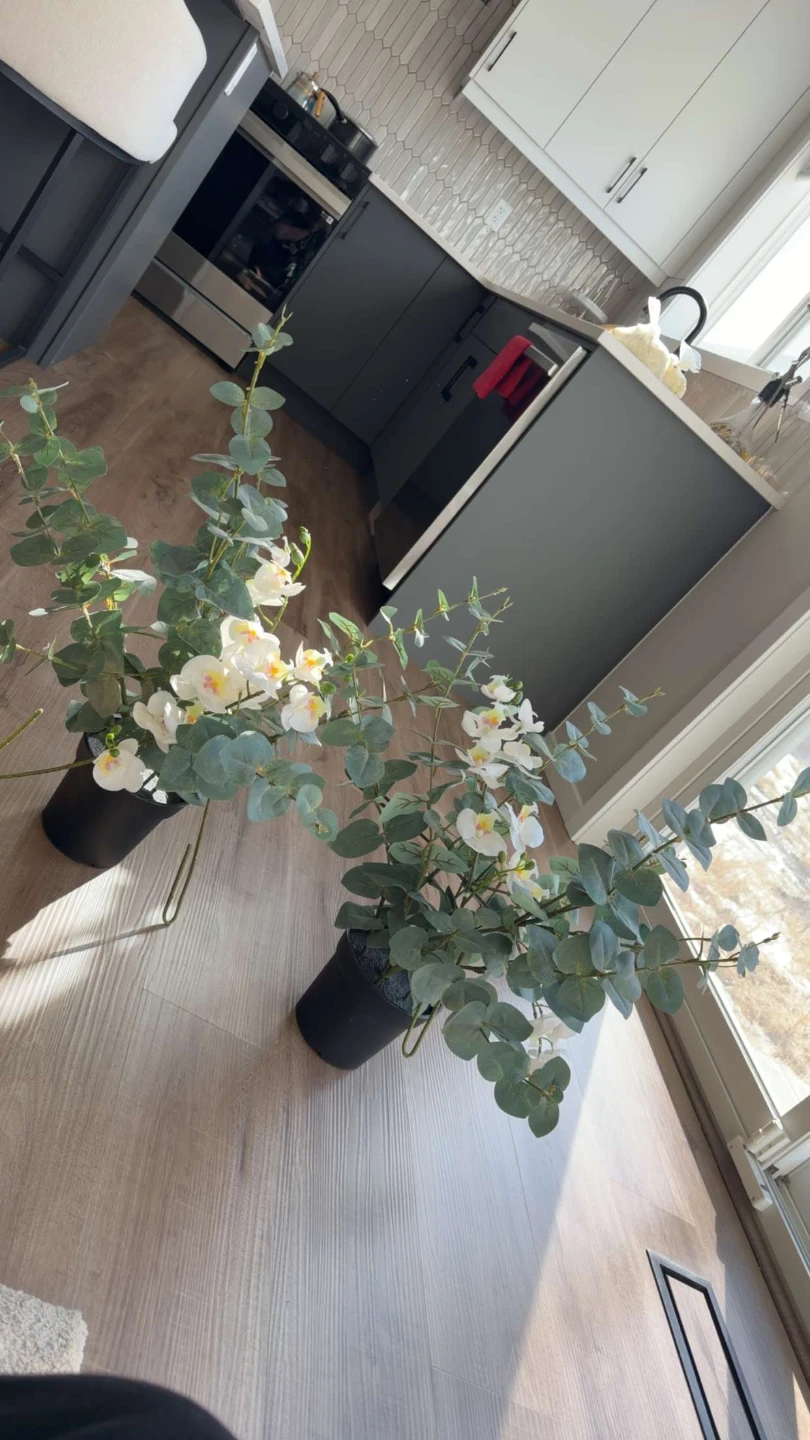 Artificial Orchid and Eucalyptus Plant Arrangement plants