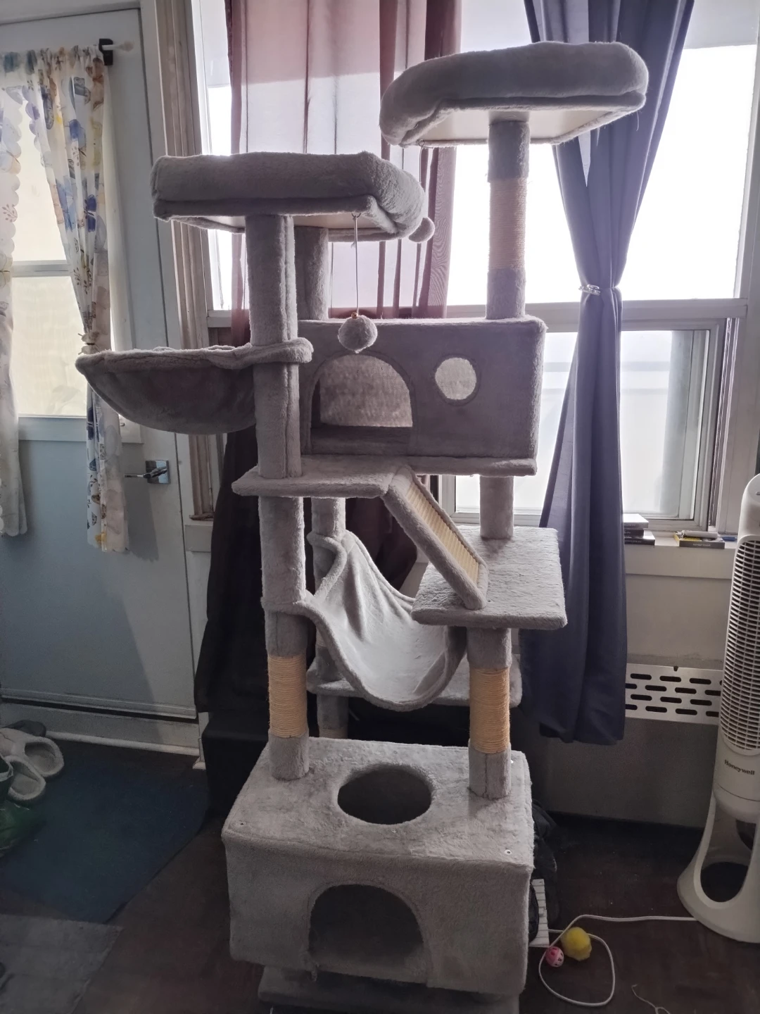 Multi-level cat tree with condo and hammock