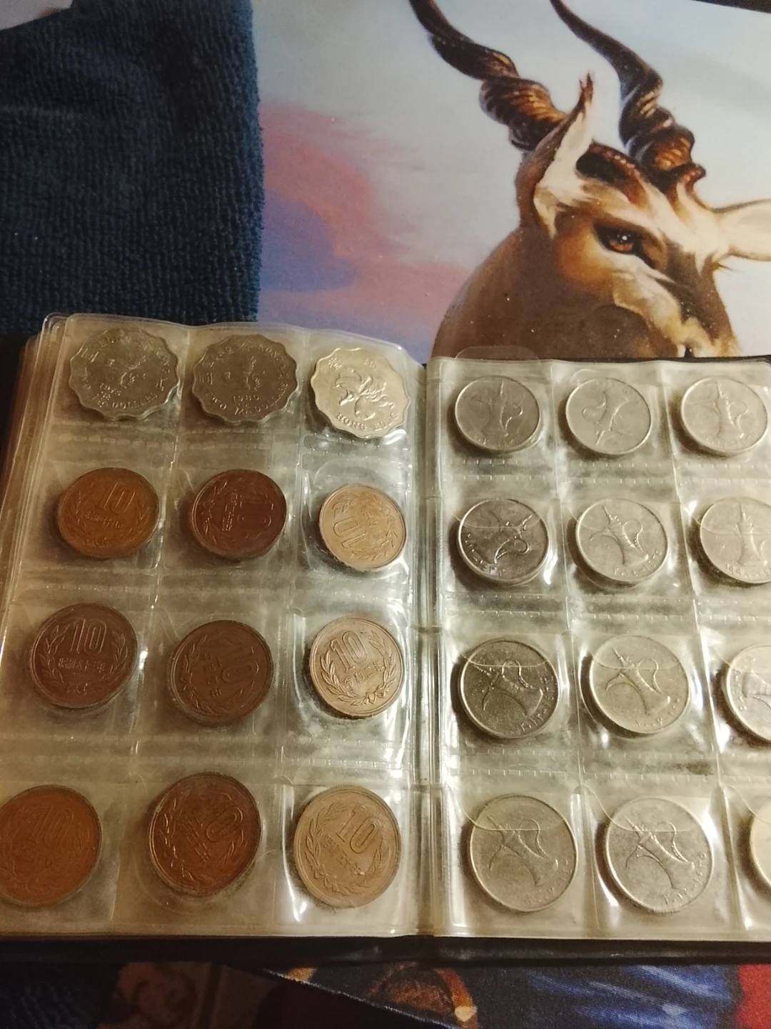 Coin Collection Album - photo 3