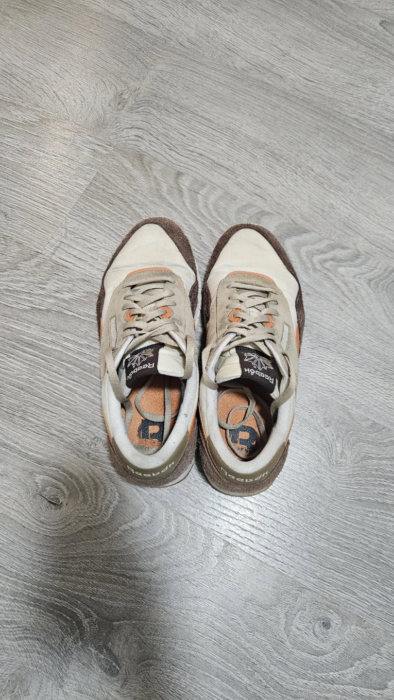 Reebok Sneakers