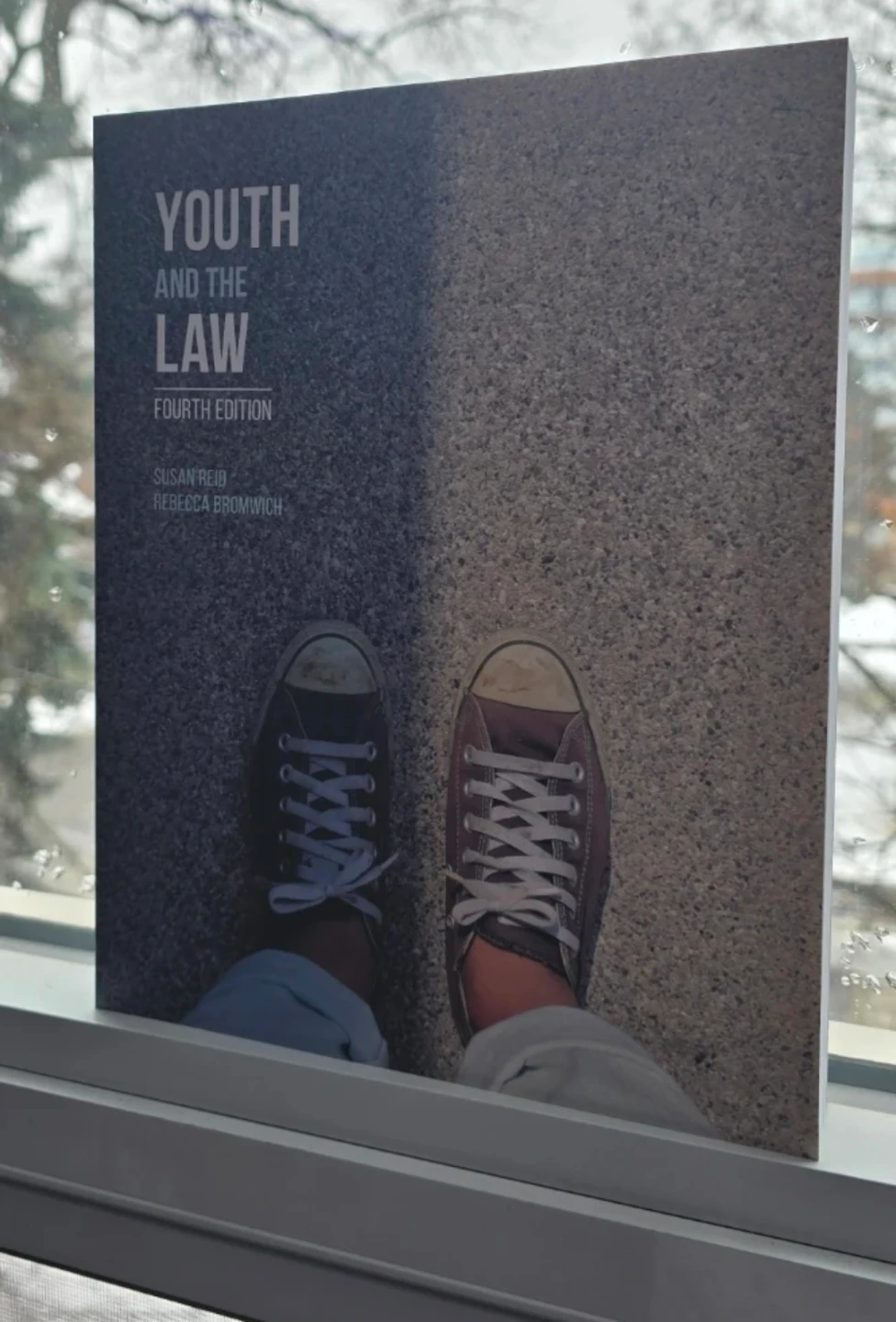 Youth and the Law Fourth Edition Textbook
