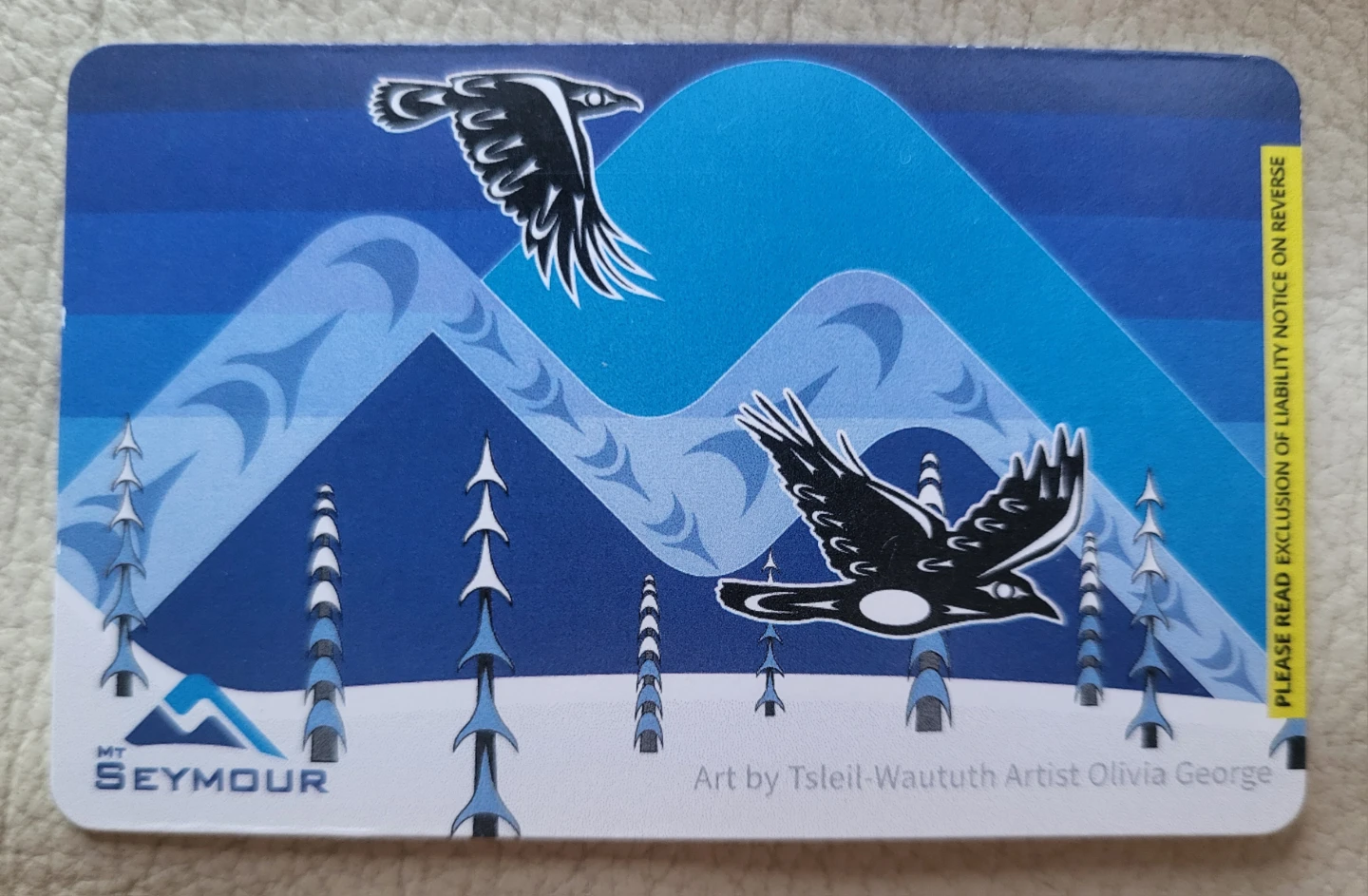Mt Seymour - Lift Ticket 🧡