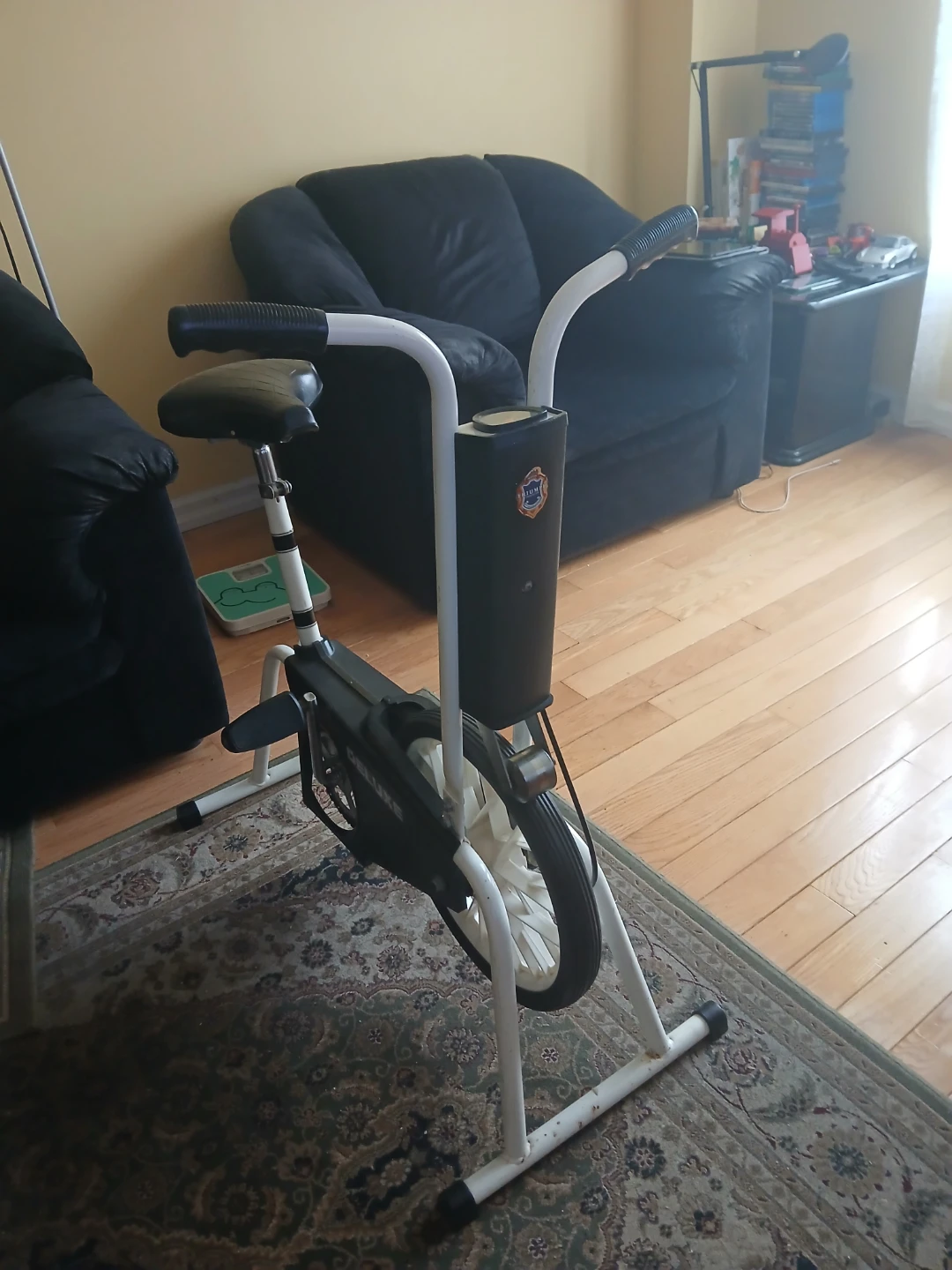 Triumph Deluxe Exercise Bike