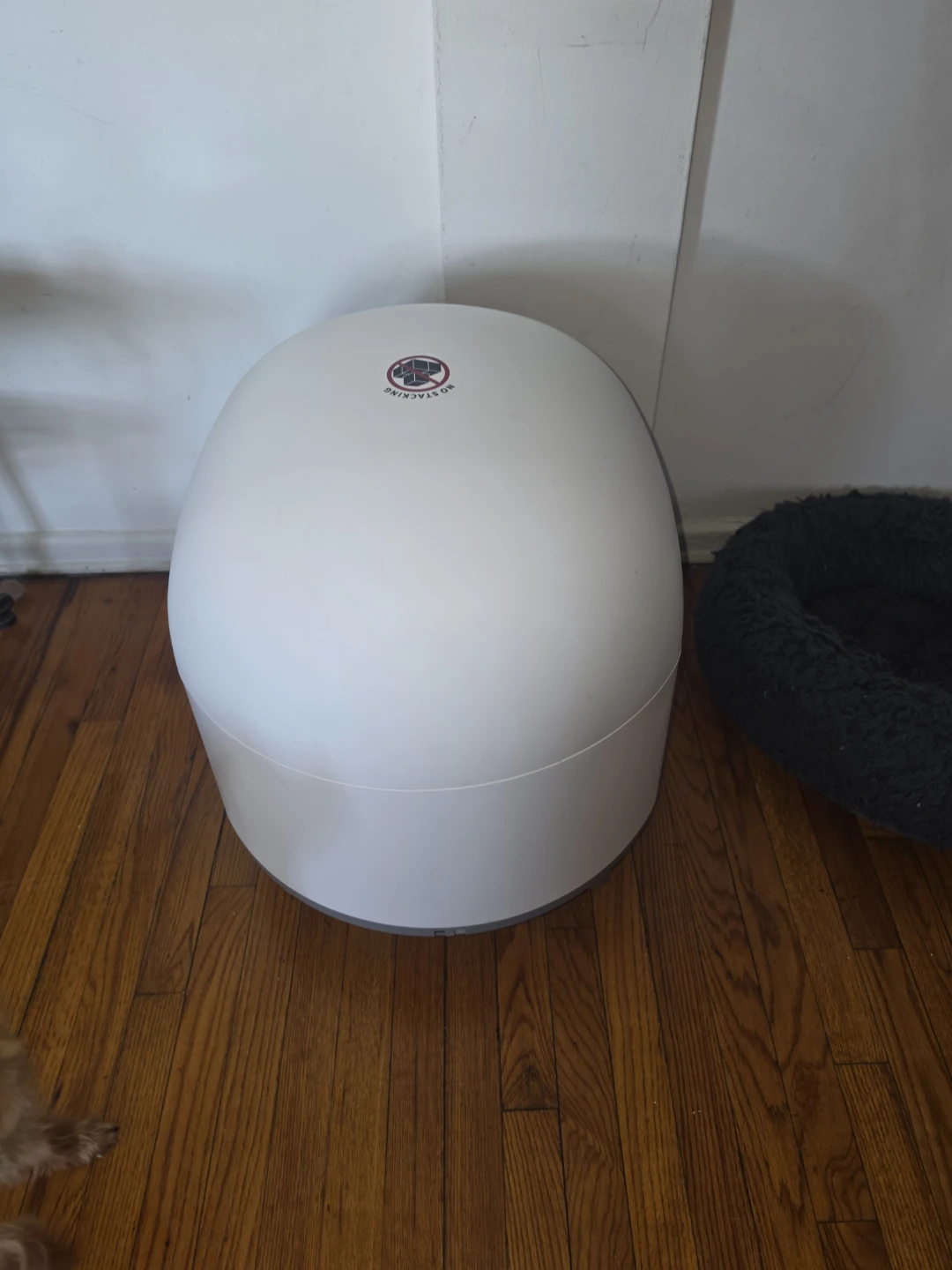 Litter-Robot Automatic Self-Cleaning Litter Box - photo 3