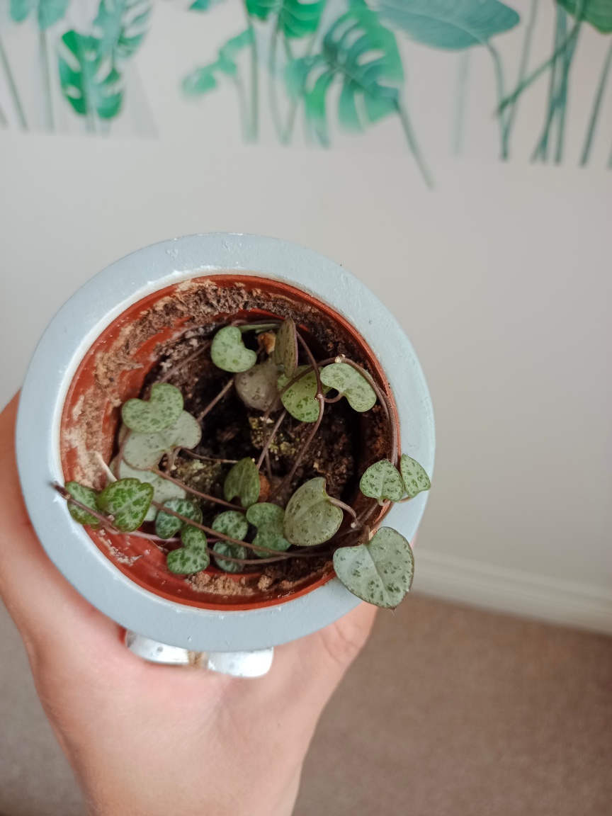 Small Striped Planter Pot with Heart Decoration - photo 2