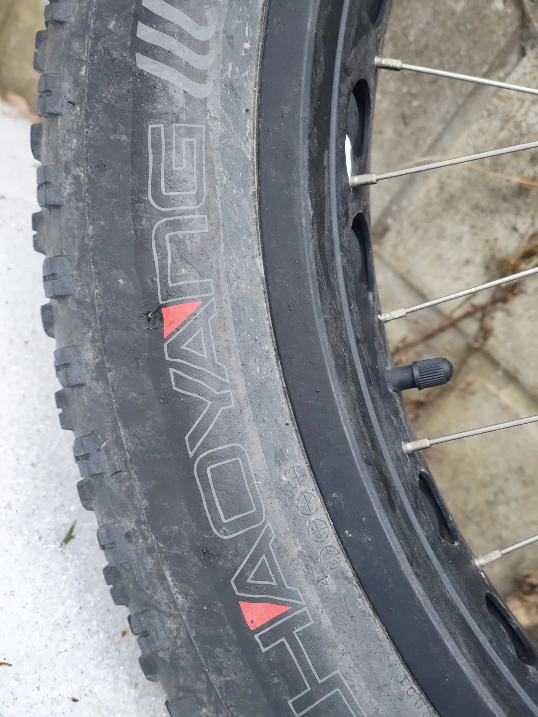Surly Bud & Lou Fat Bike Tire 26x4.9 - photo 3