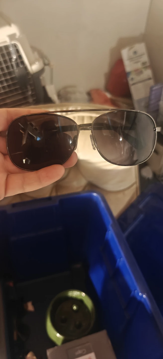 Aviator Sunglasses