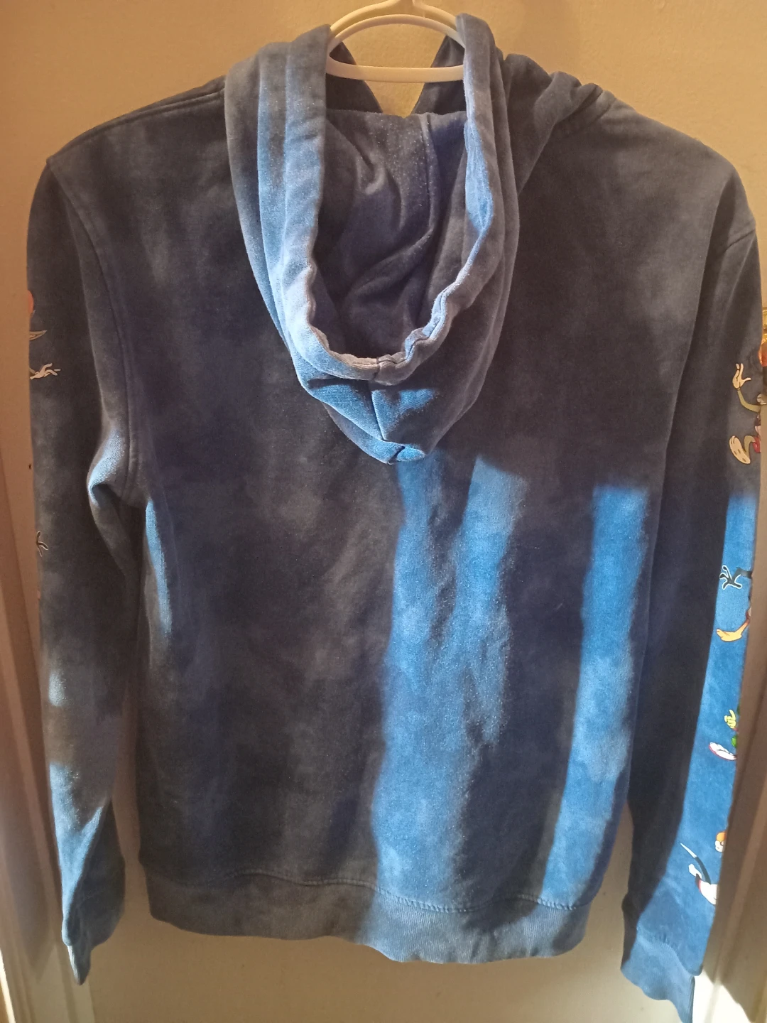 Aeropostale x Space Jam Hoodie - Size S - photo 2