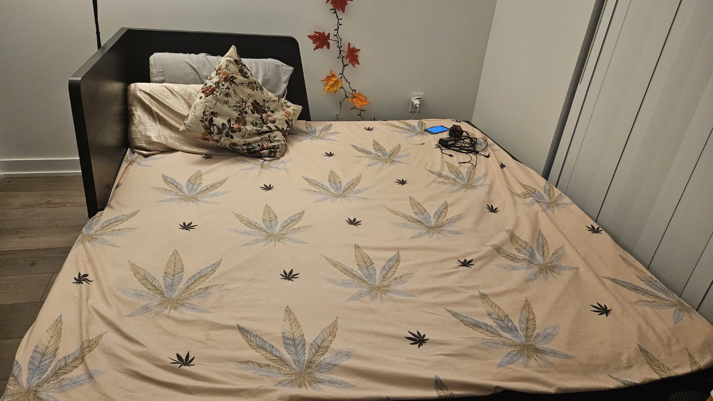 IKEA FLEKKE Daybed with 2 Drawers - photo 5