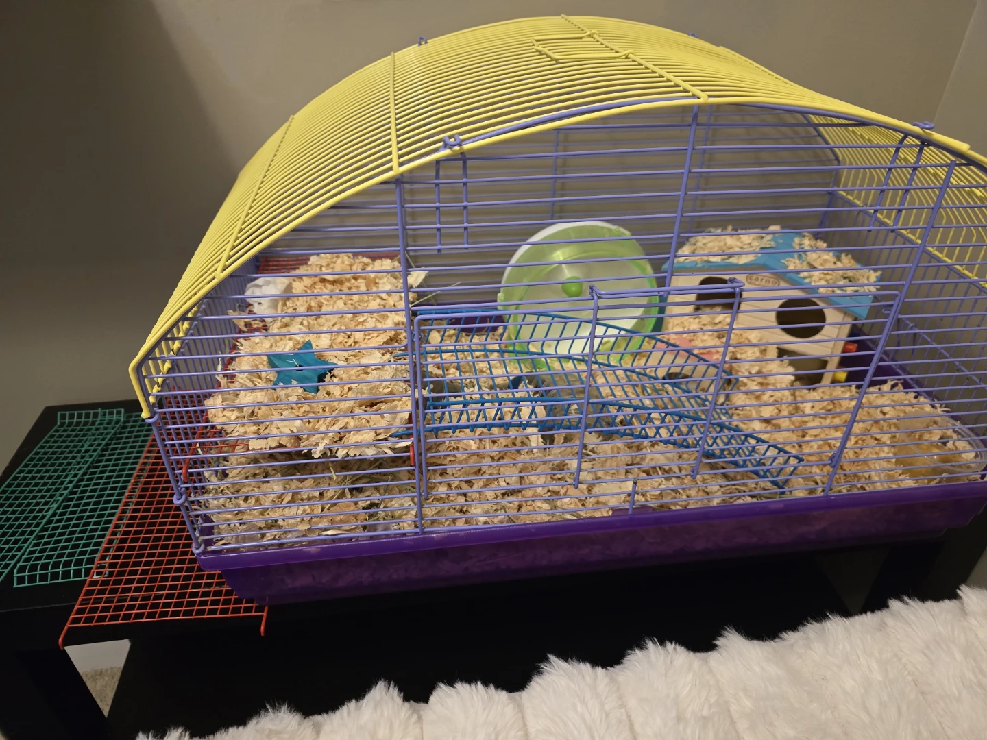 Hamster Cage with Accessories - photo 3