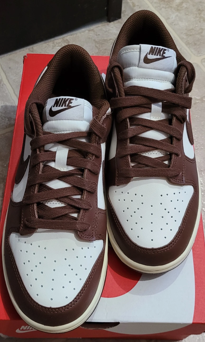 Nike Dunk Low