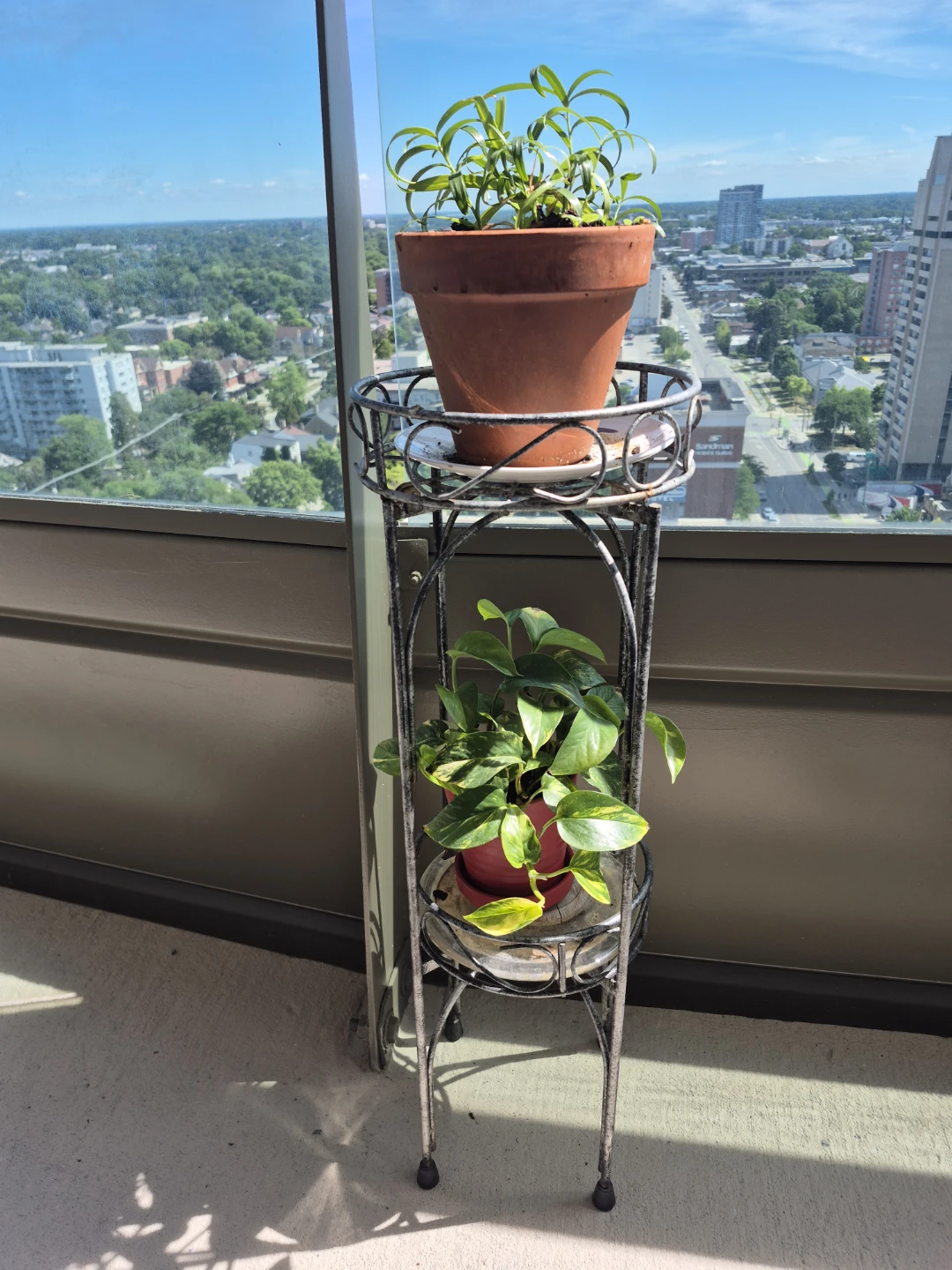 Two Tier Metal Plant Stand 🪴