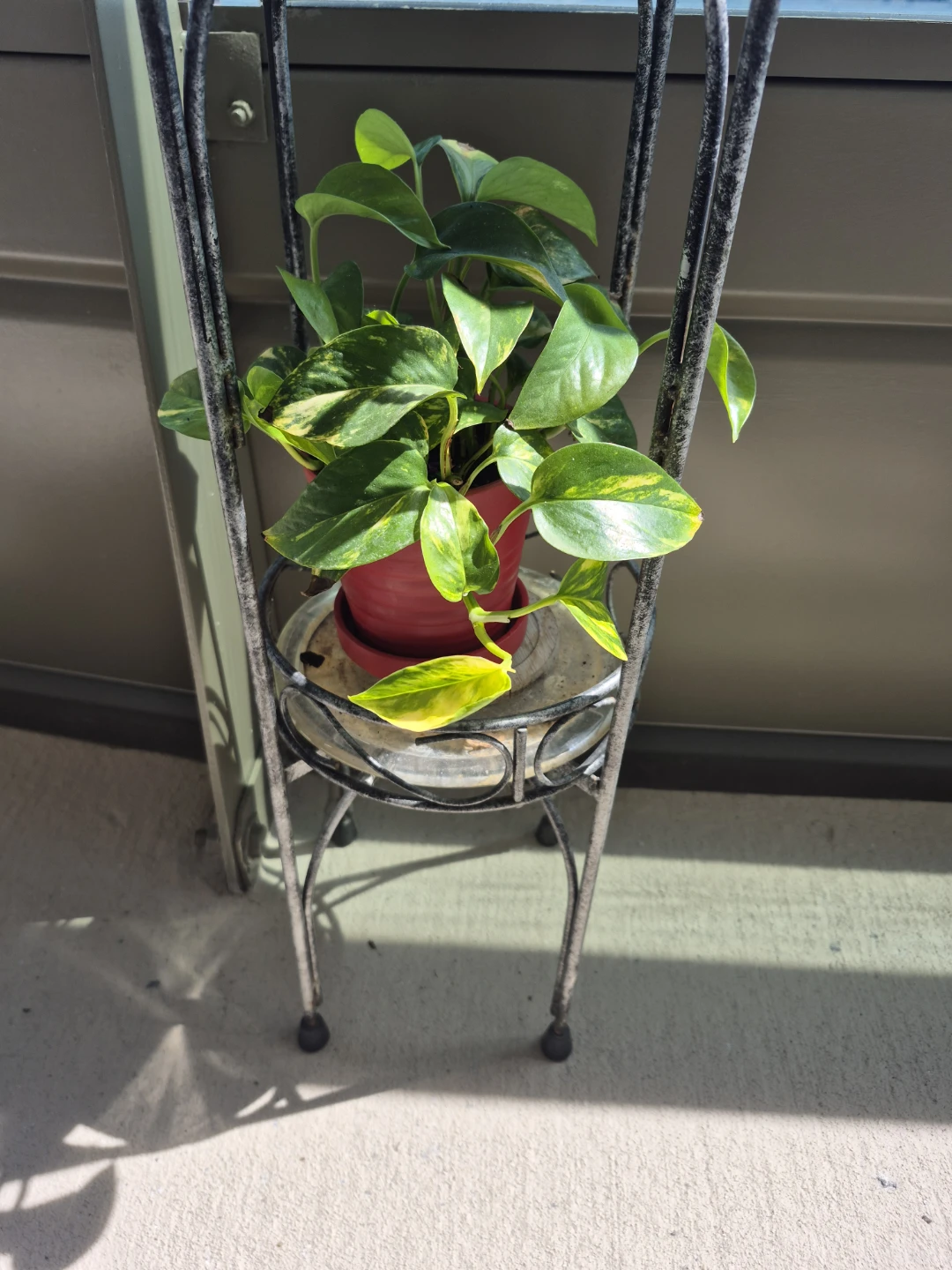 Two Tier Metal Plant Stand 🪴 - photo 2
