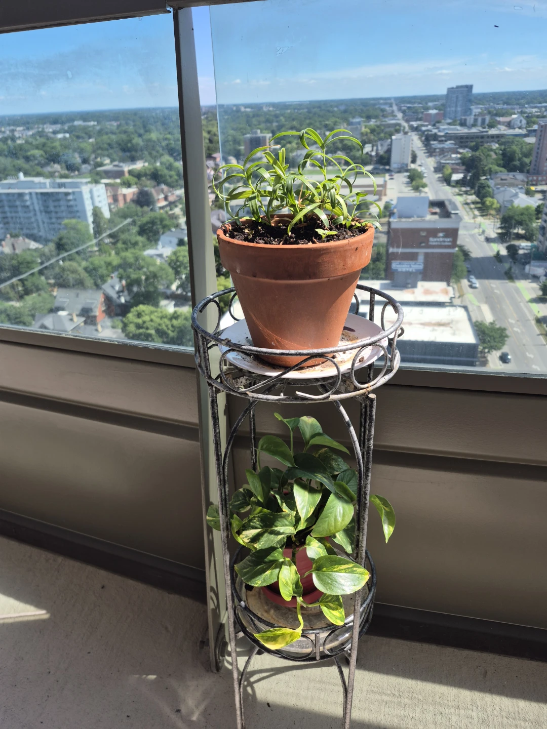 Two Tier Metal Plant Stand 🪴 - photo 3