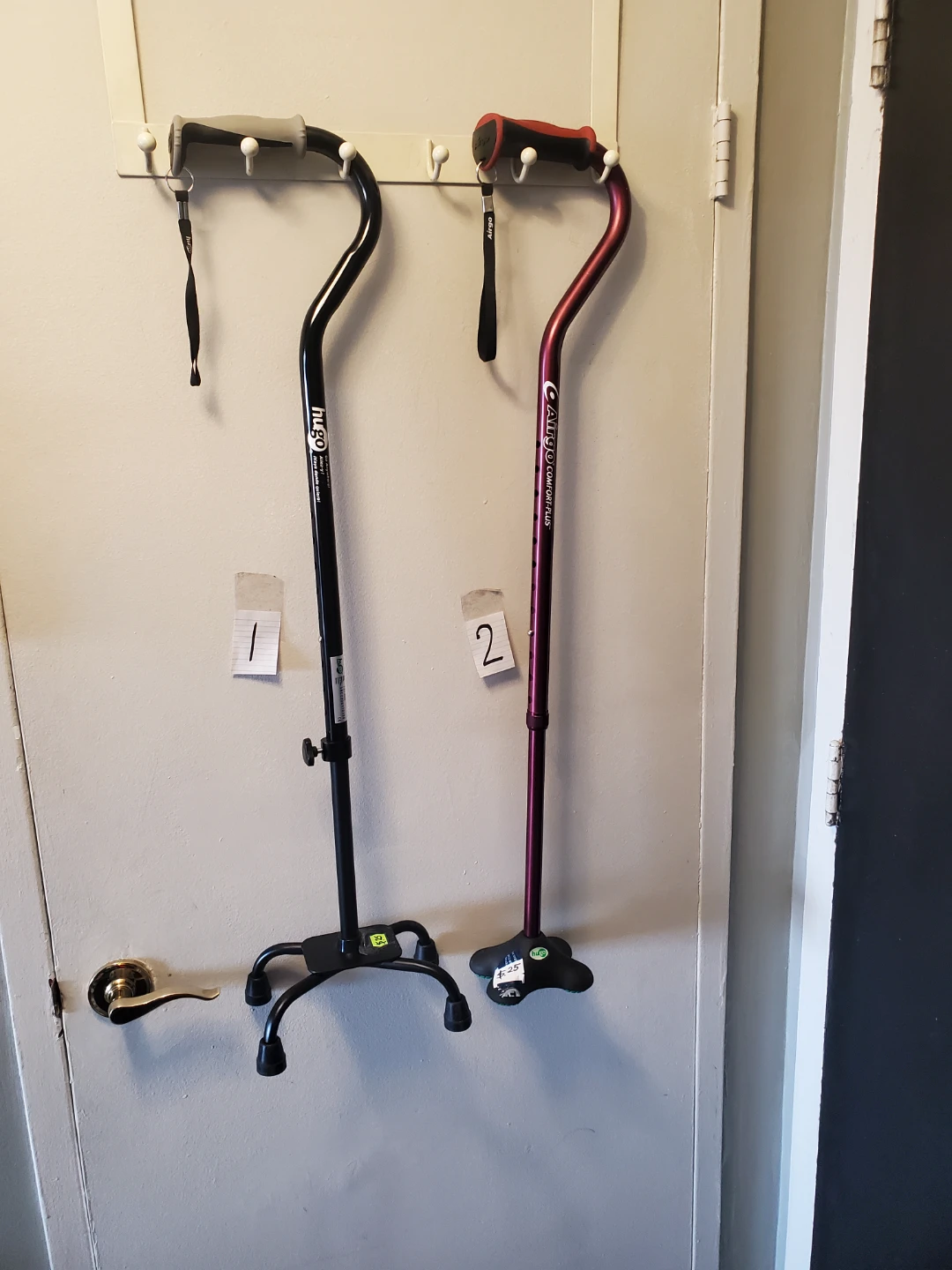 Walking Sticks  & 2 White Cane