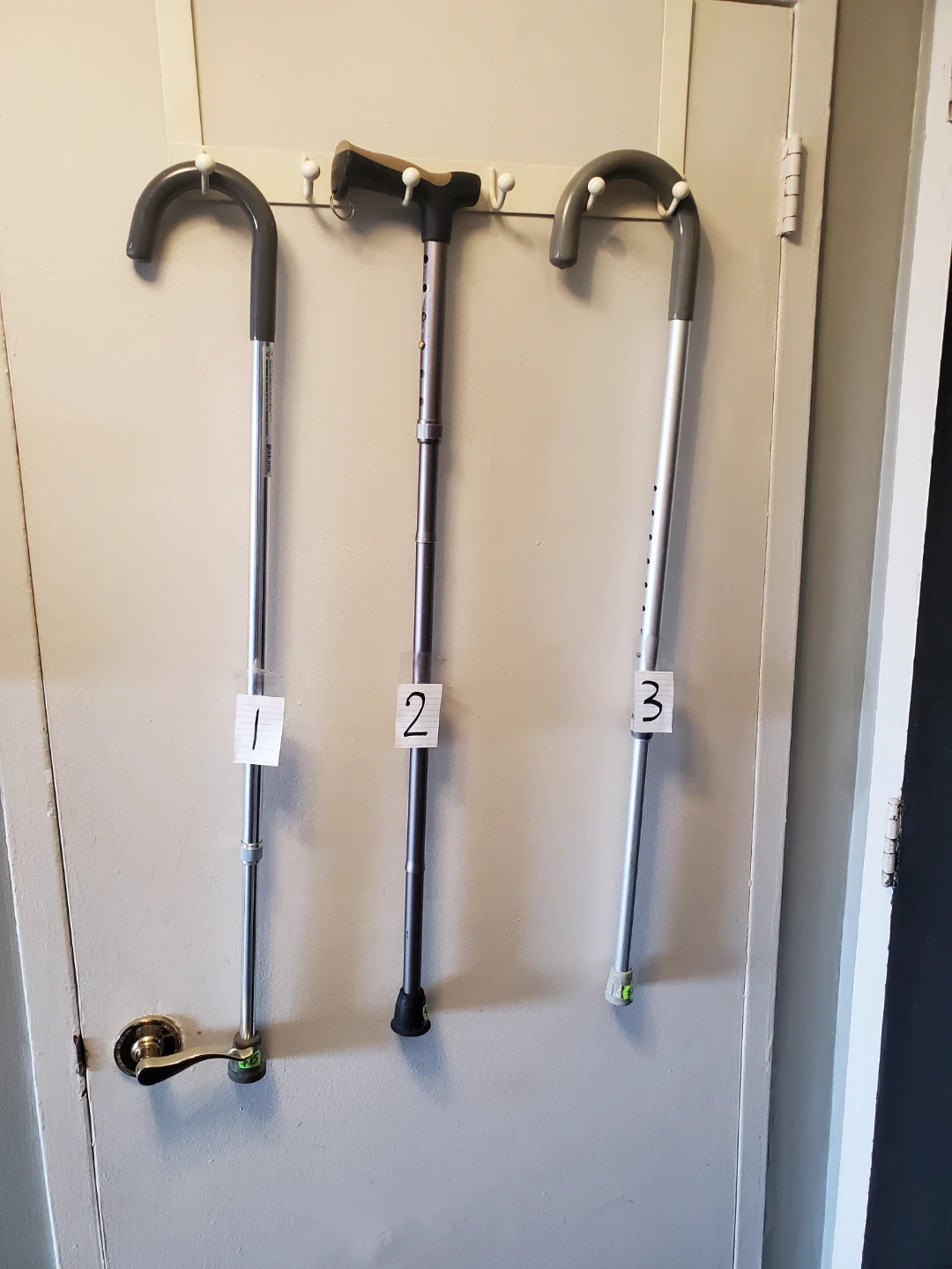 Walking Sticks  & 2 White Cane - photo 4
