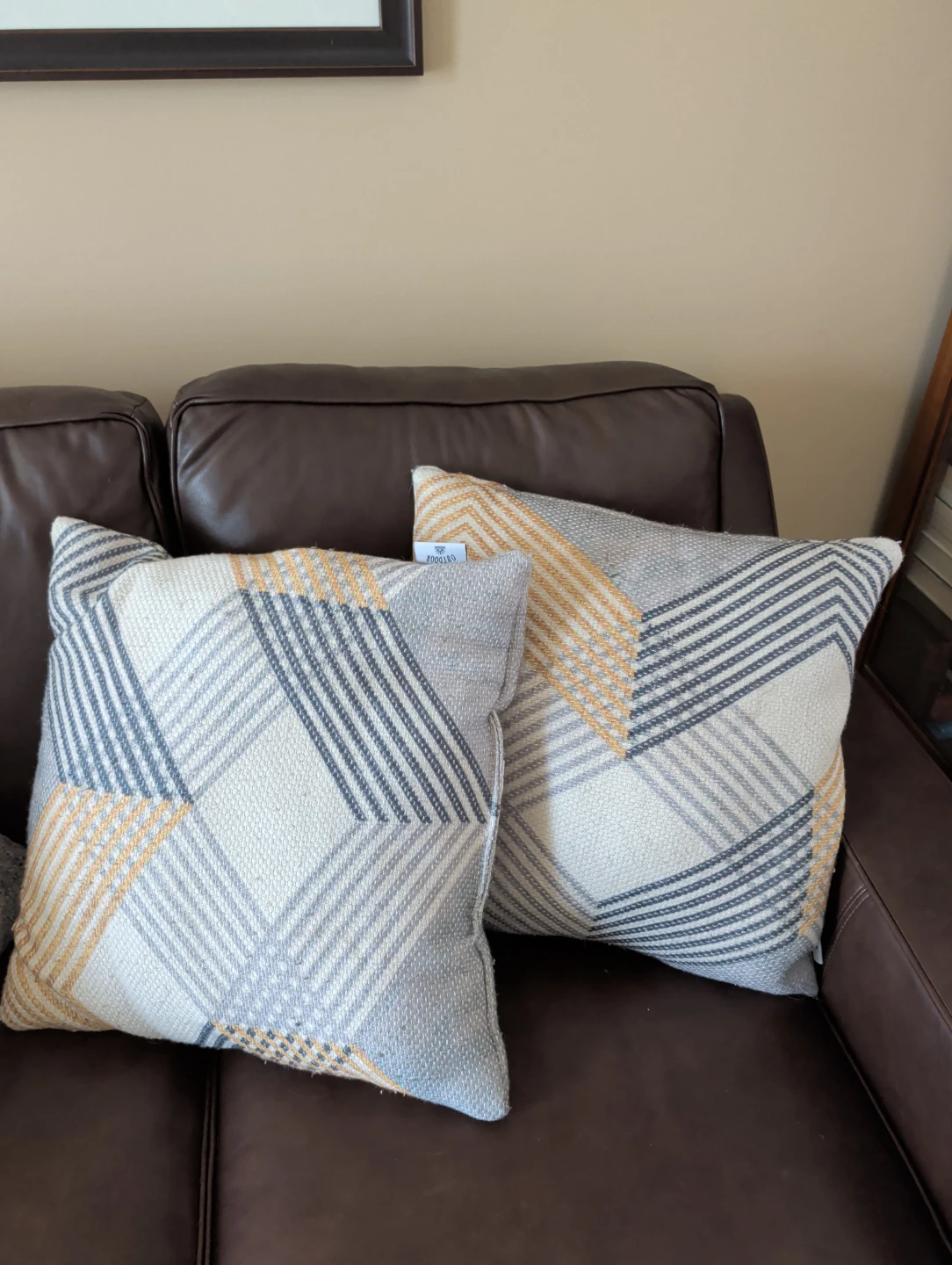 Decorative Throw Pillows Set of 2