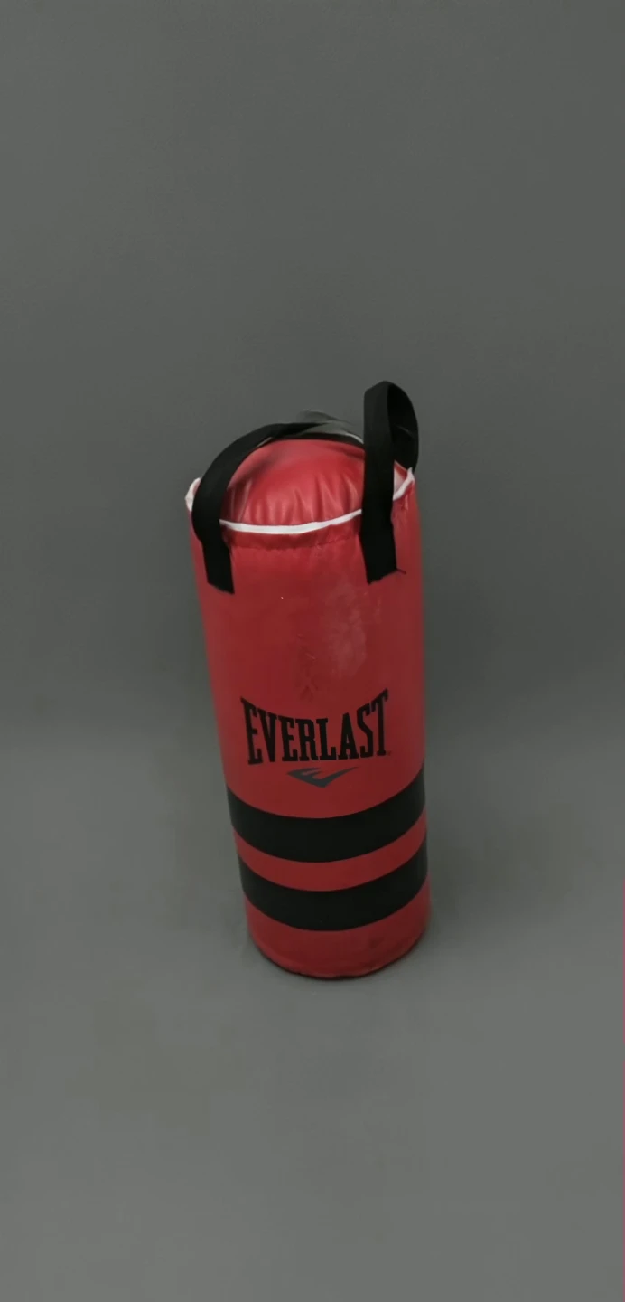 Everlast Red Punching Bag