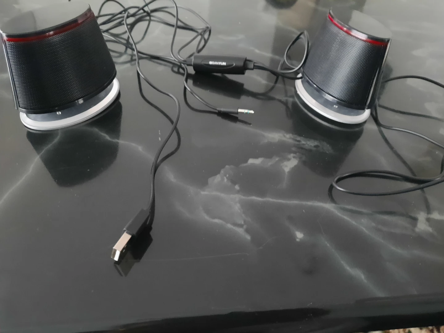 Sanyun USB Powered Desktop Speakers