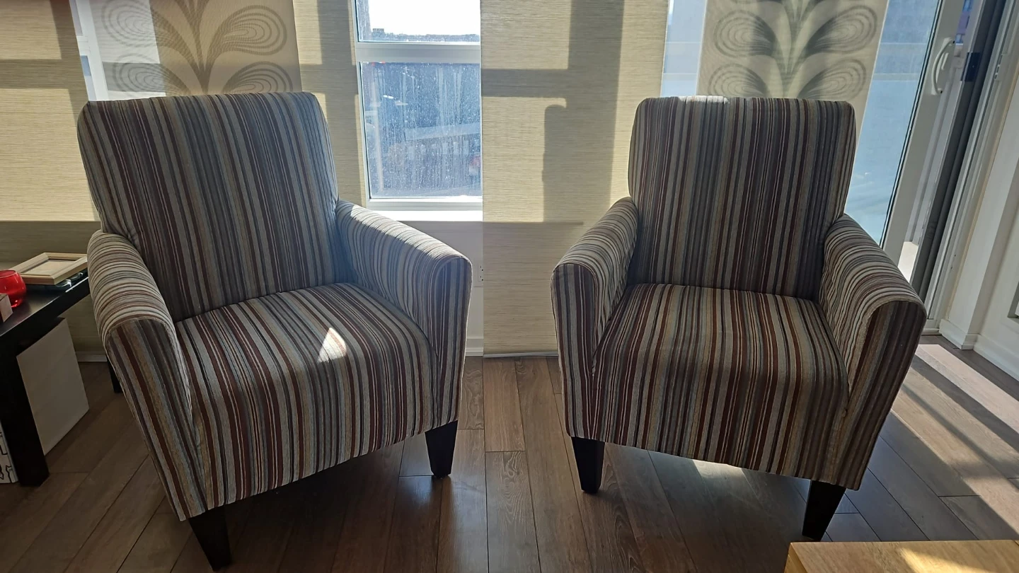 2 Lounge Chairs For Sale