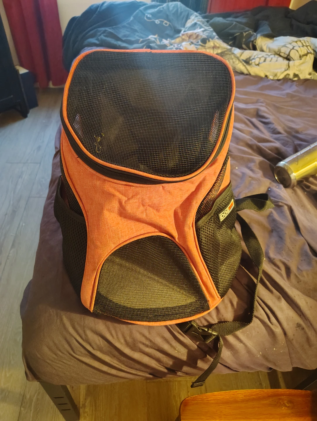 Orange Pet Carrier Backpack