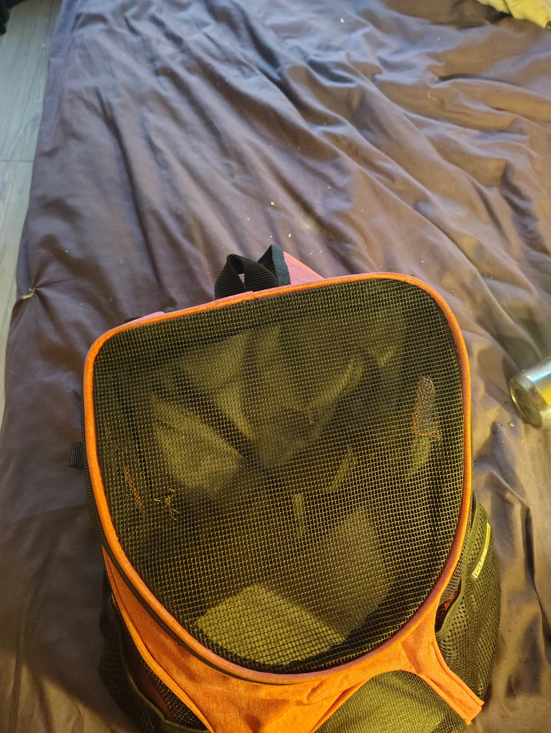 Orange Pet Carrier Backpack - photo 2