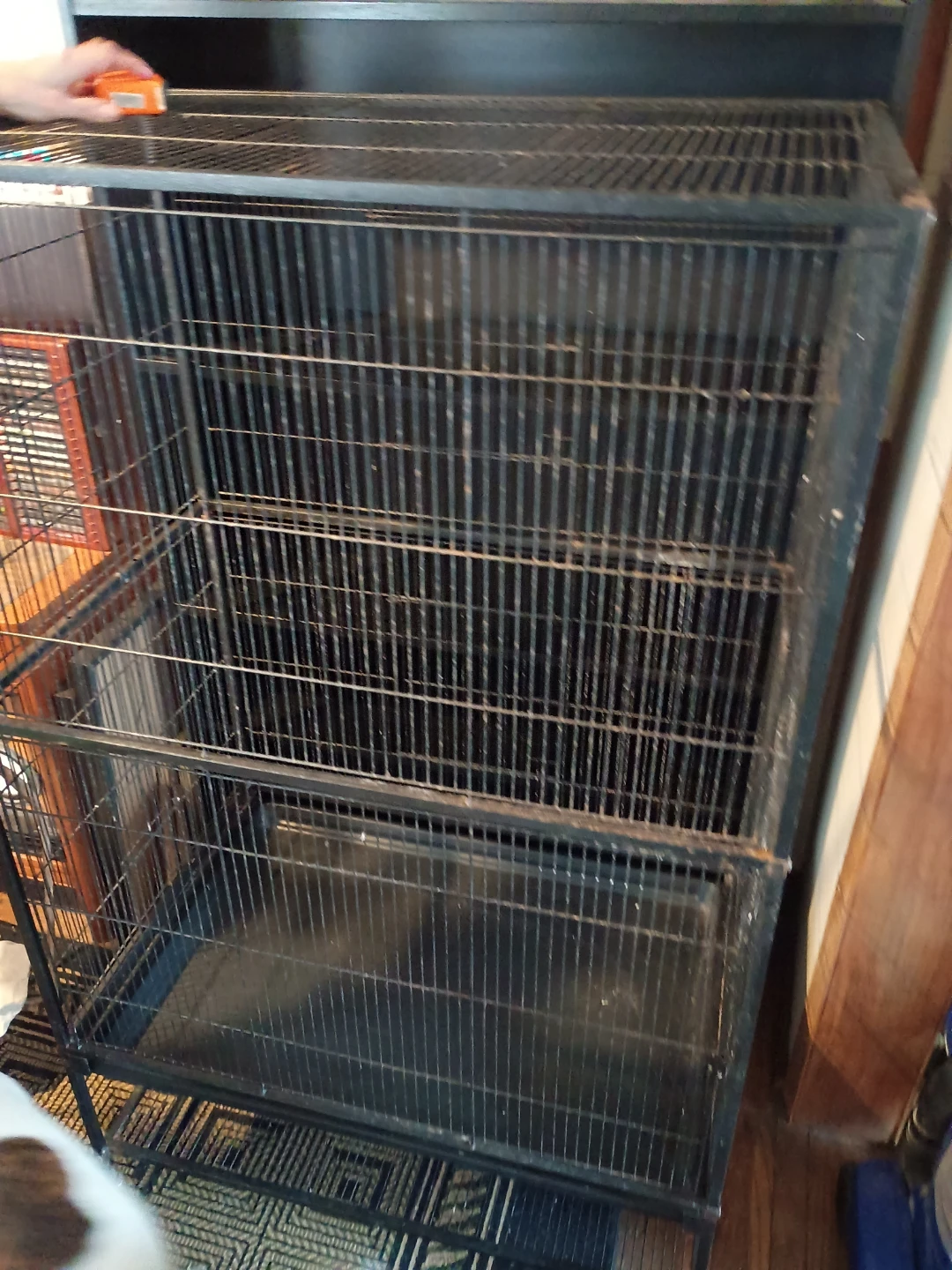 TAKING OFFERS Large Bird Cage