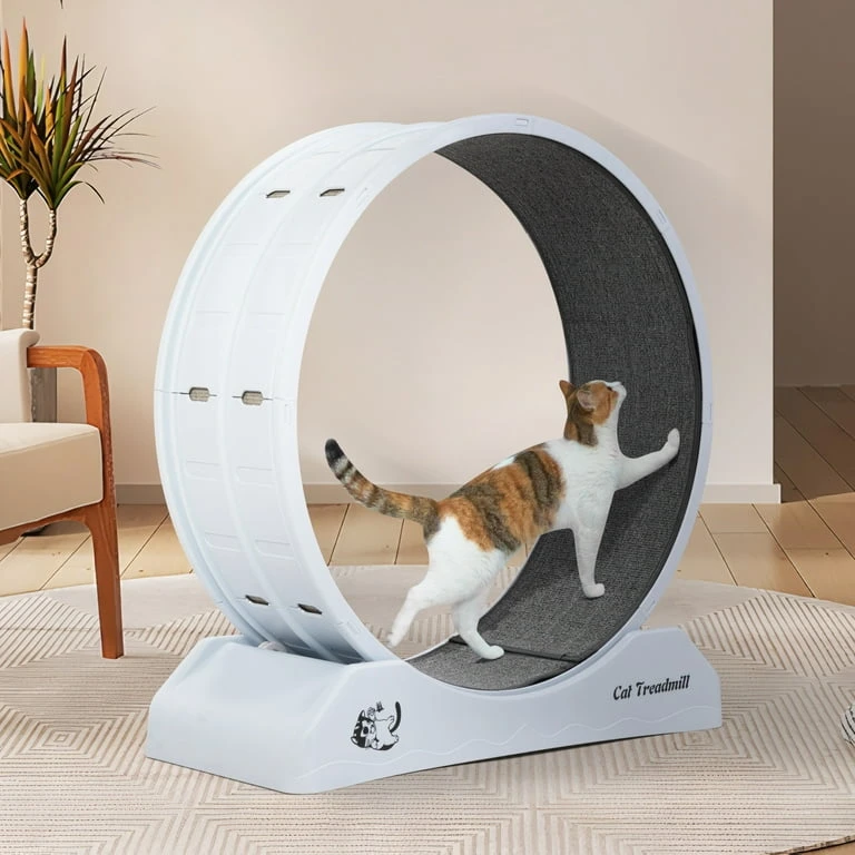 Cat Treadmill Exercise Wheel