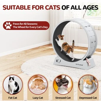 Cat Treadmill Exercise Wheel - photo 5