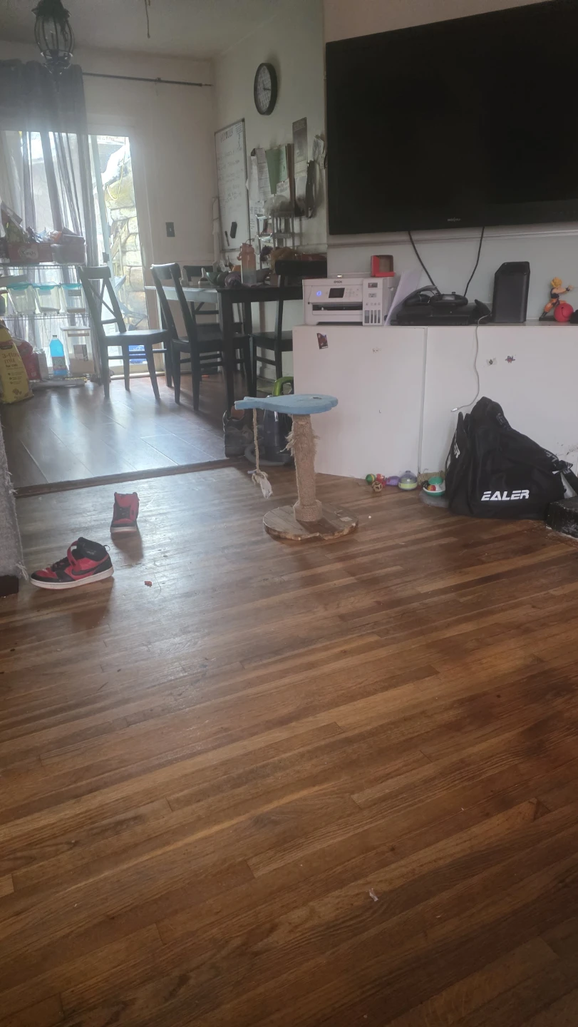 Cat post