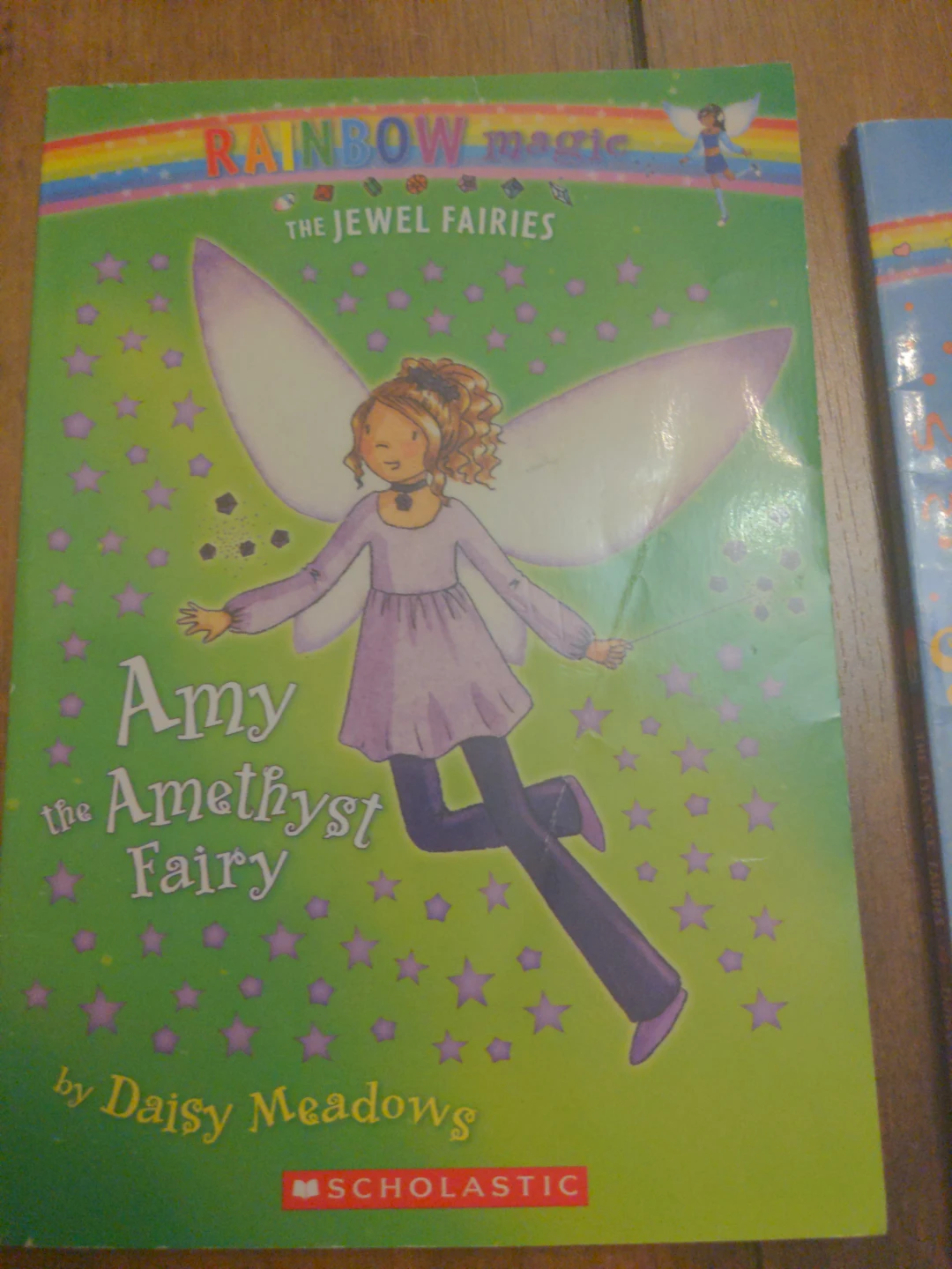 Rainbow Magic Books - Daisy Meadows - photo 5