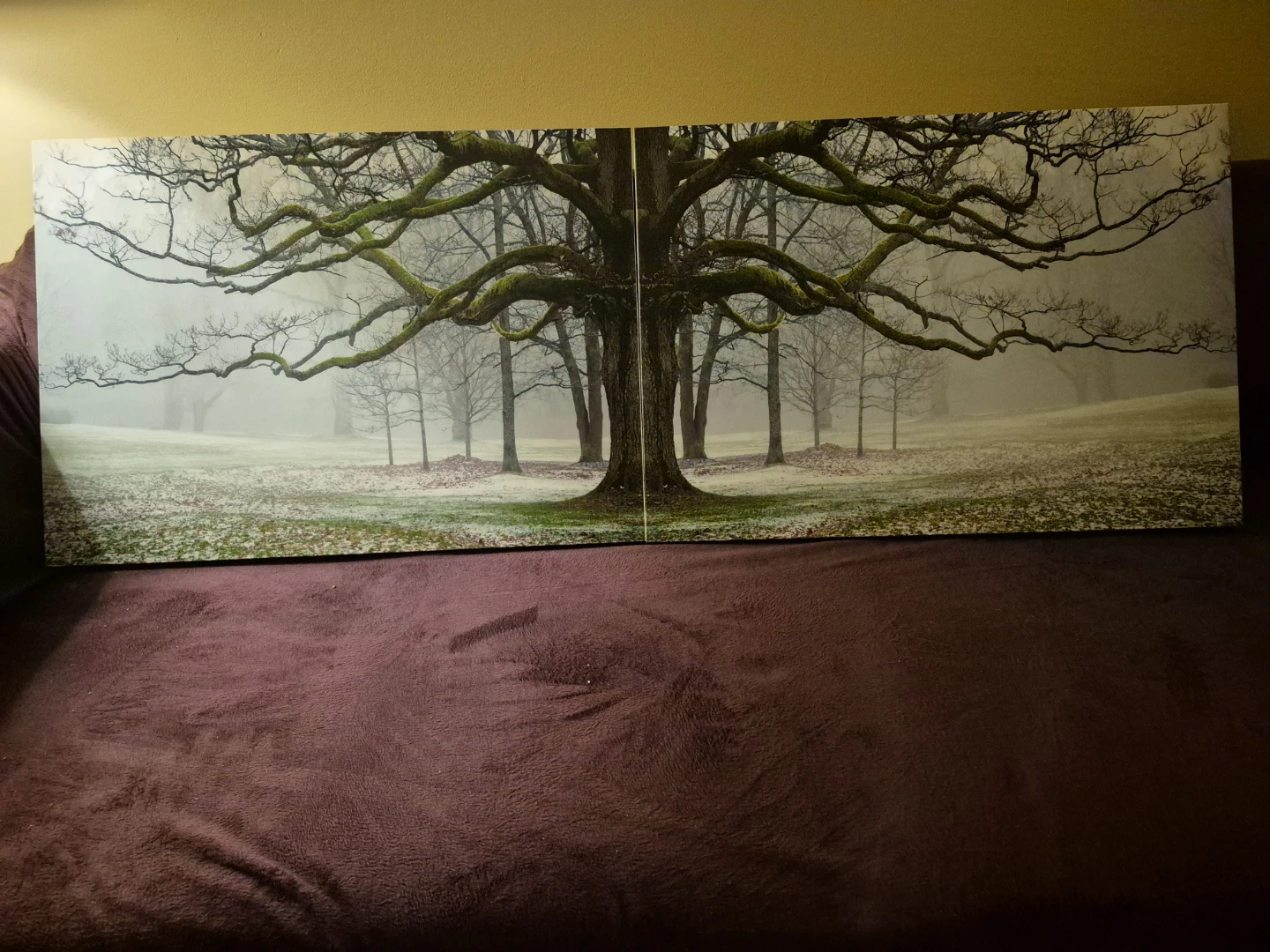 Canvas Print - Large Oak Tree in Foggy Landscape