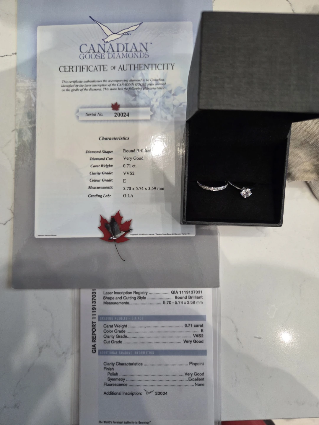 Canadian Goose Diamonds 18kt White Gold Engagement Ring