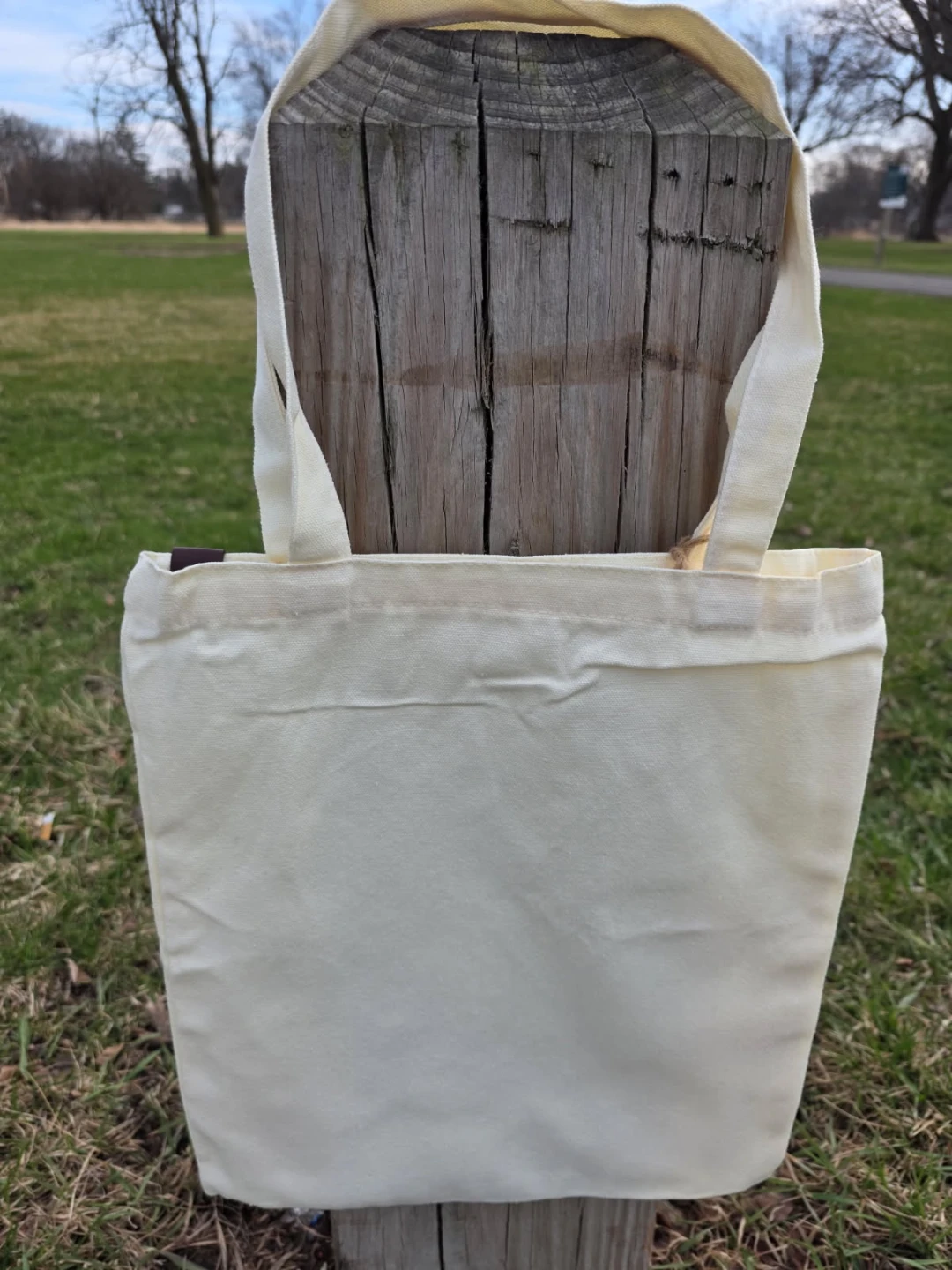 Mooshie Totes Canvas Tote Bag with Mushroom Print - photo 4