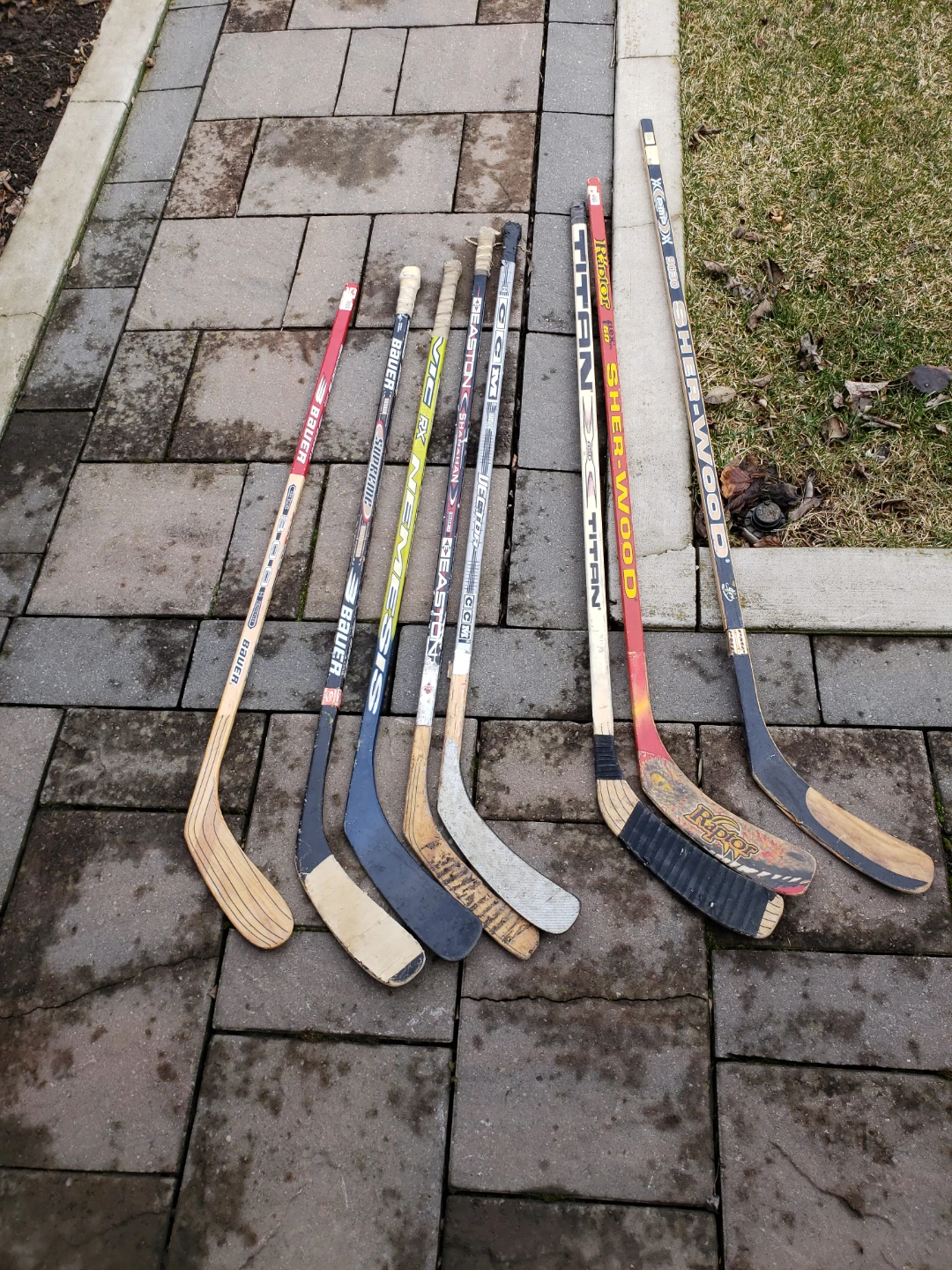 Hockey sticks $20each