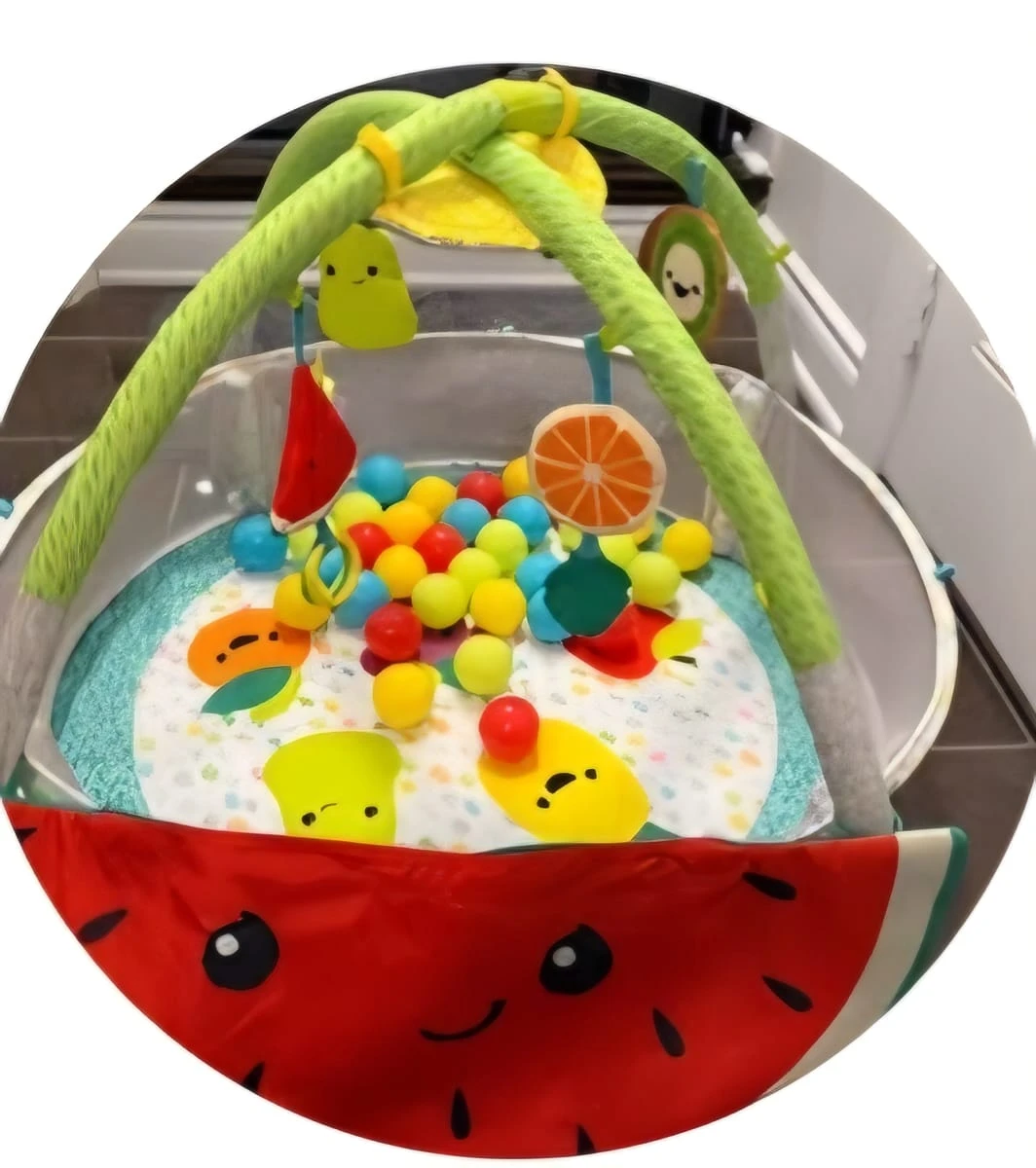 Baby Play Gym with Balls and Fruit Toys