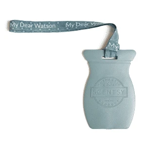 Scentsy Car Bars