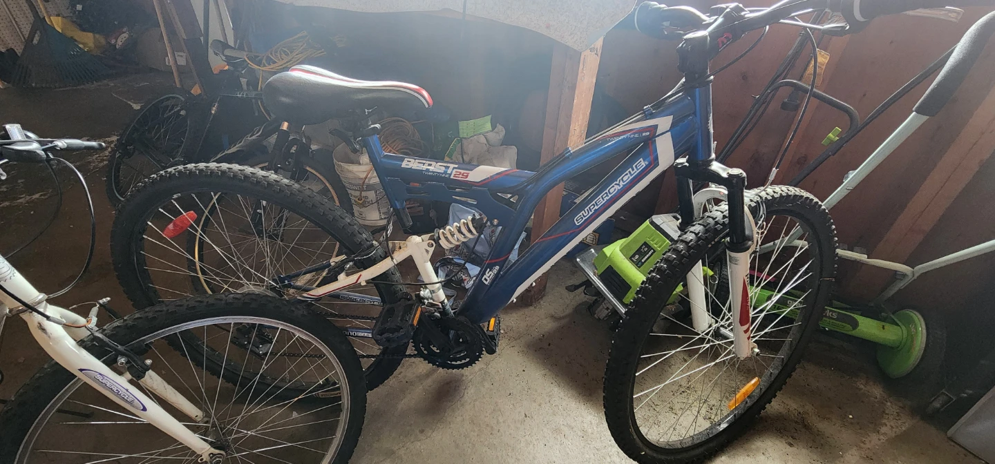 2 Bikes for Sale - photo 2