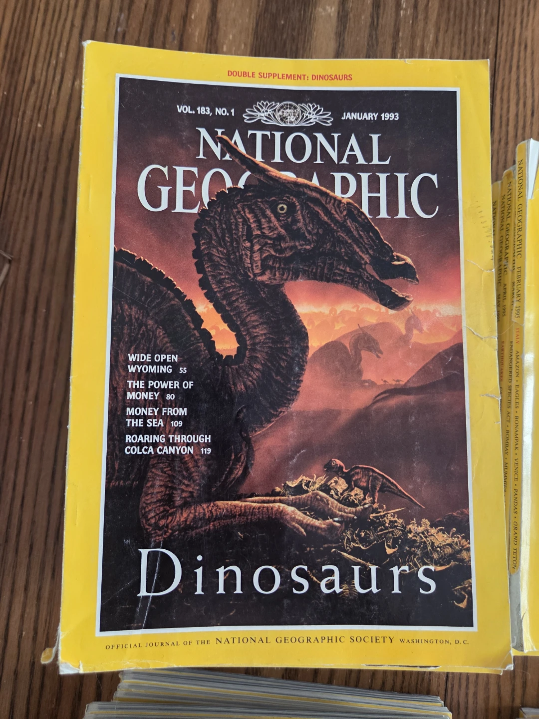 National Geographic Issues - photo 3