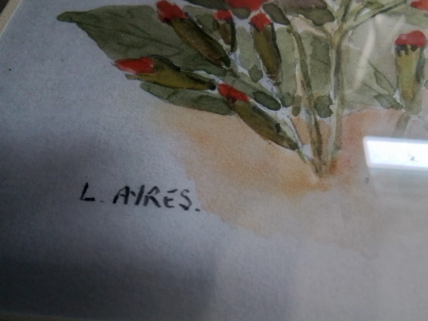 Framed Watercolour Painting of Red Flowers by L. Ayres - photo 4