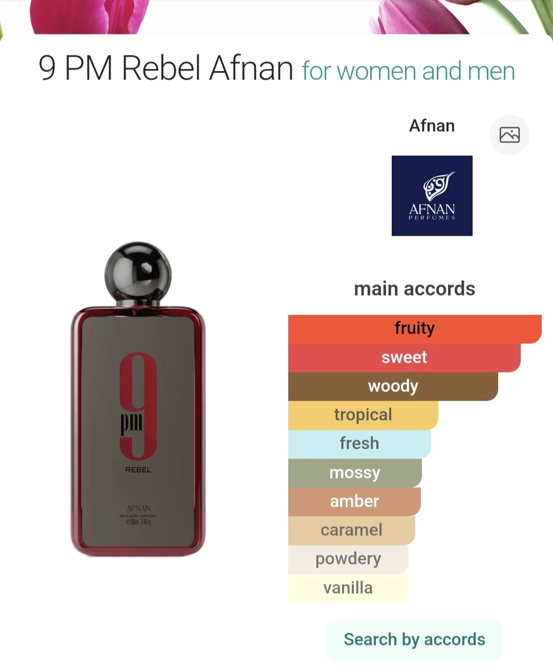 Afnan 9 PM Rebel Eau de Parfum Vaporisateur 100ml