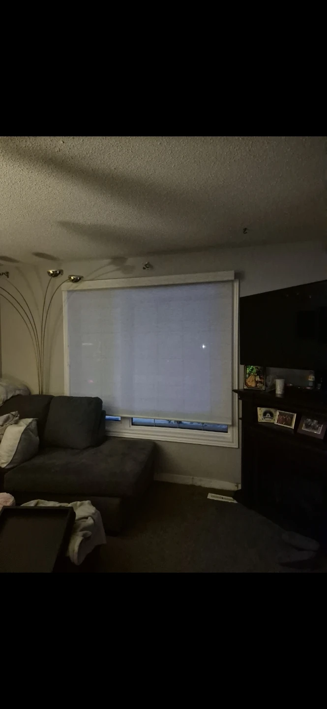 Roller Window Blinds