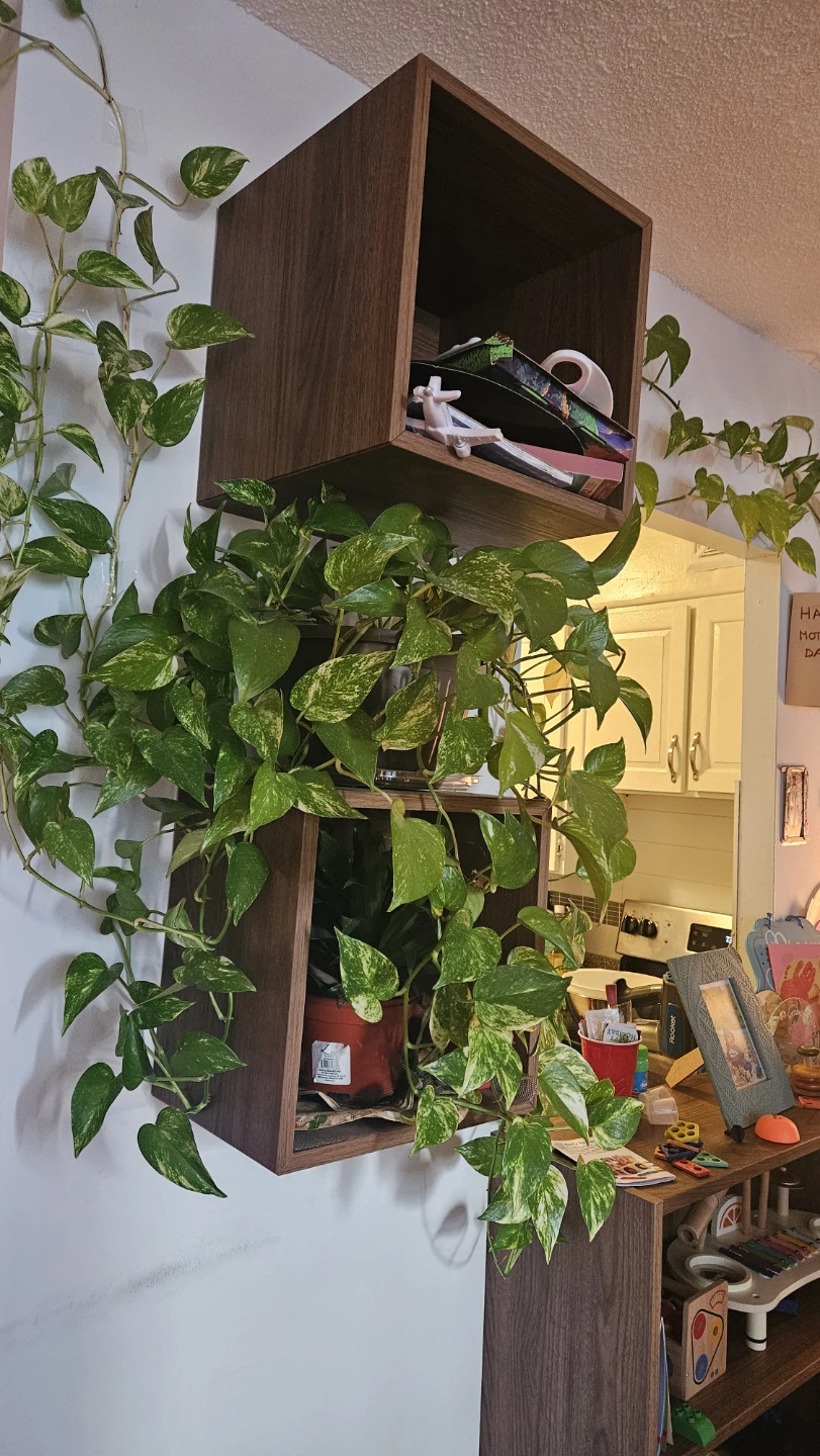 Wooden Cube Shelf or IKEA Cabinets