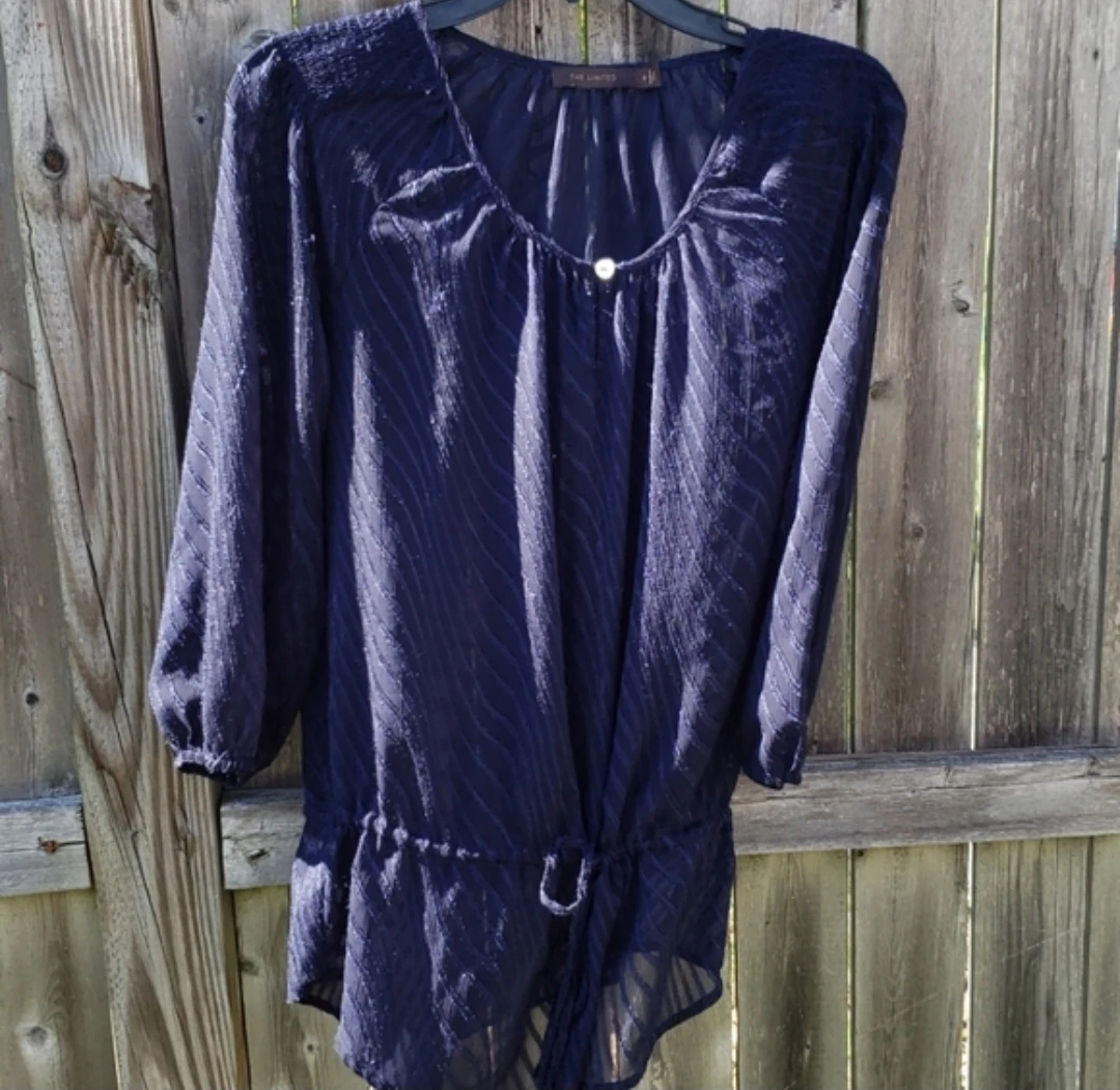The Limited Navy Blue Sheer Striped Blouse Size S