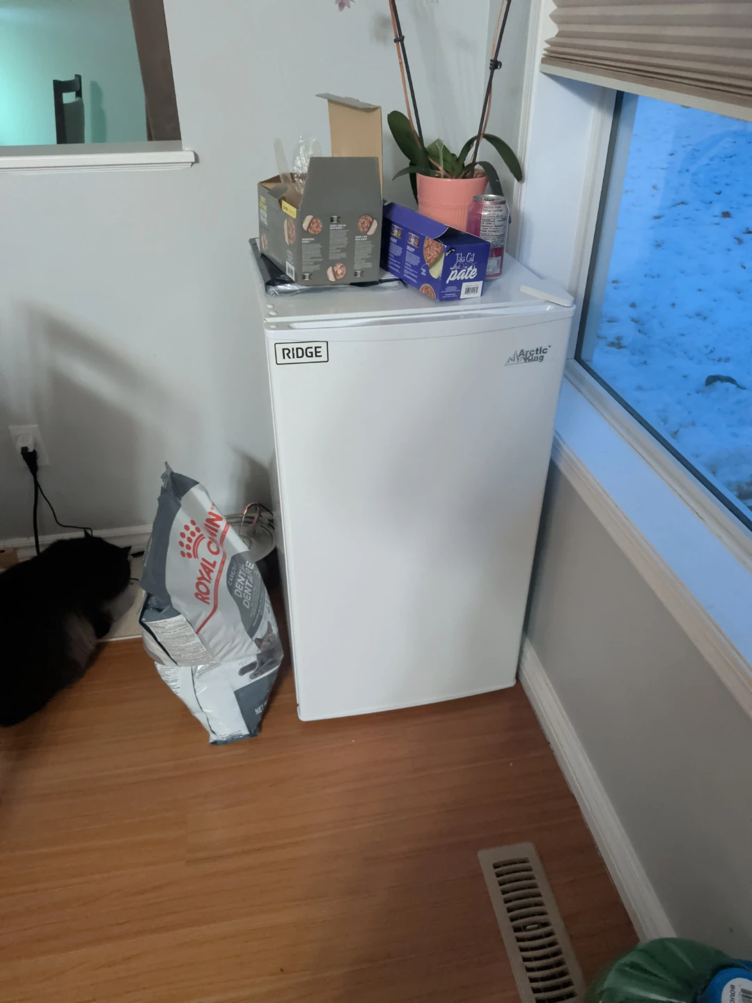 Arctic King Compact Refrigerator