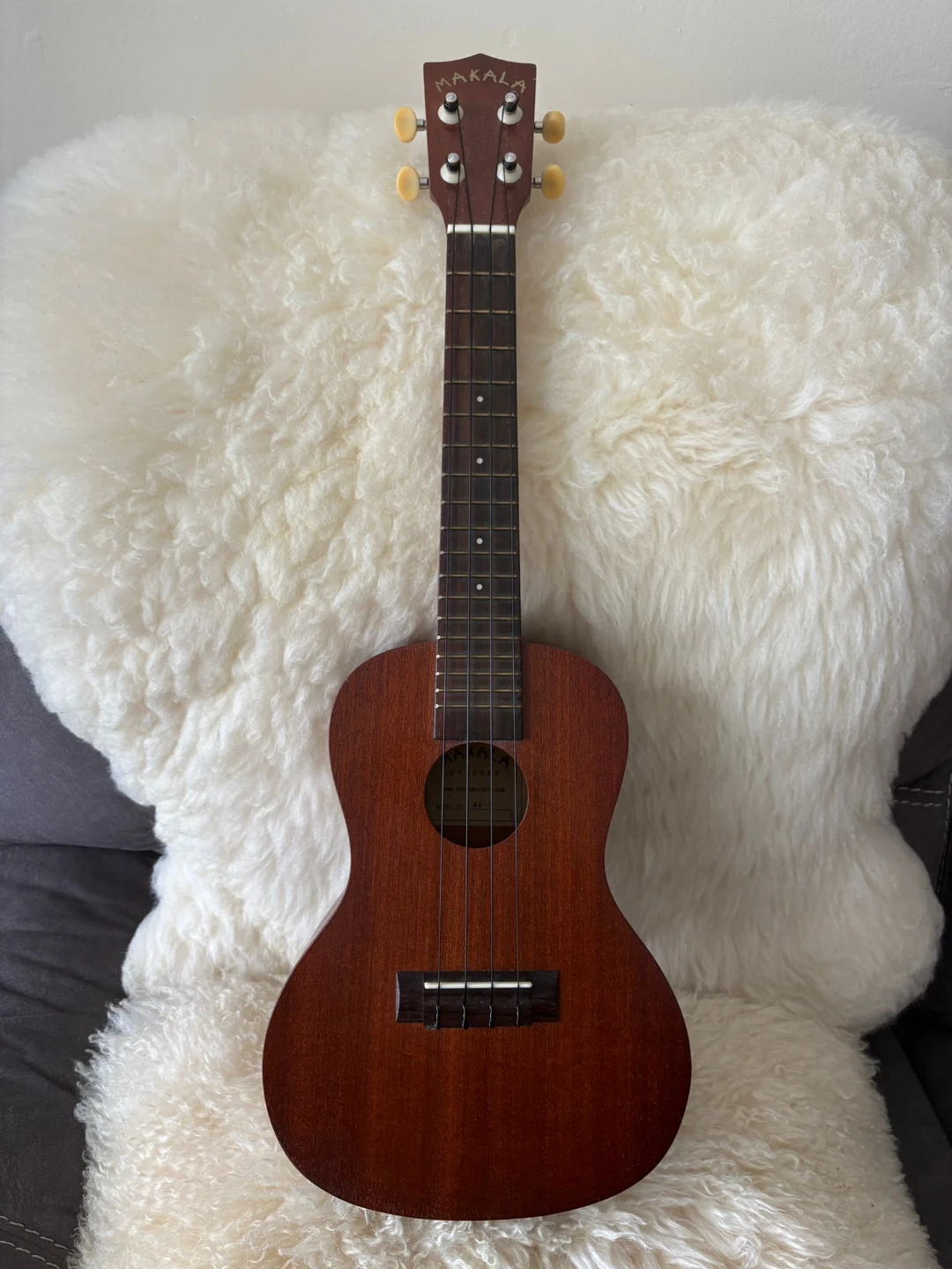 Makala MK-C Ukulele with Gig Bag
