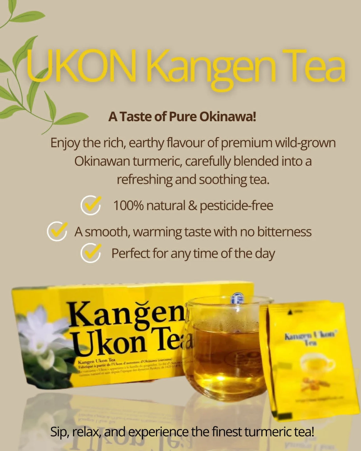 Kangen Ukon Tea - 60 Bags