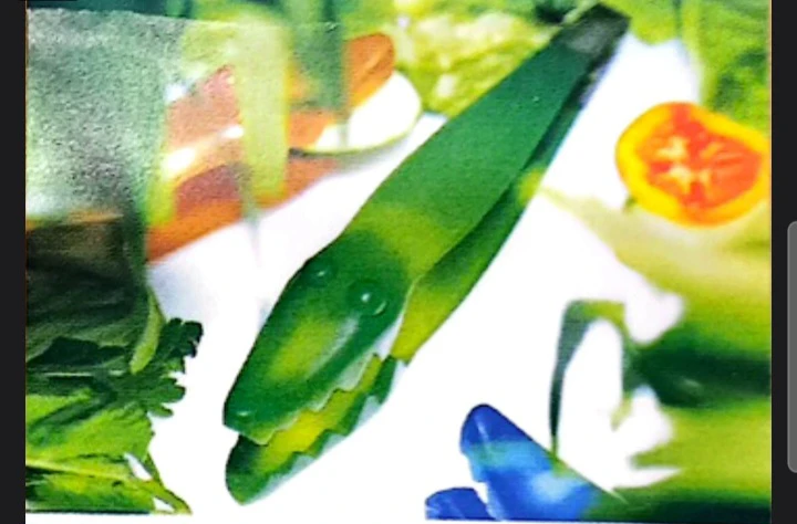 Crocodile Ice Tongs - photo 2