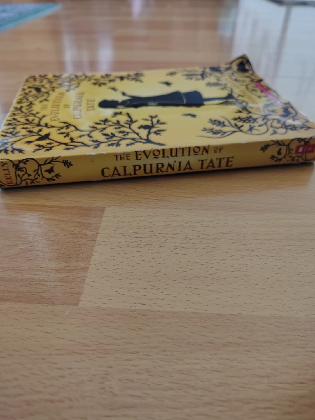Books - photo 4