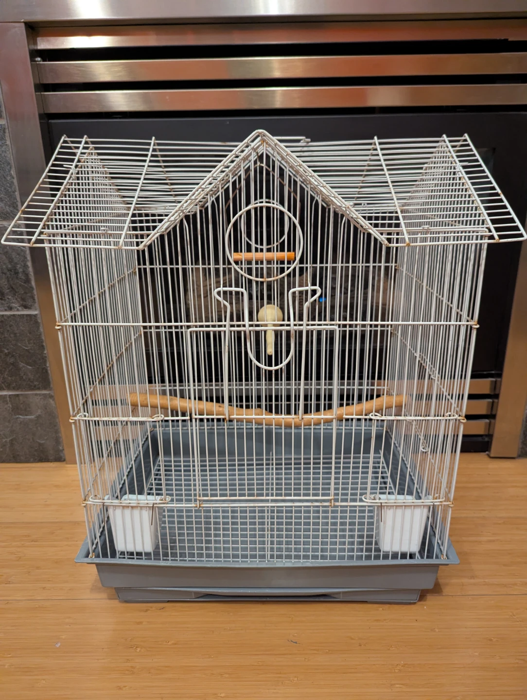 White Bird Cage $30